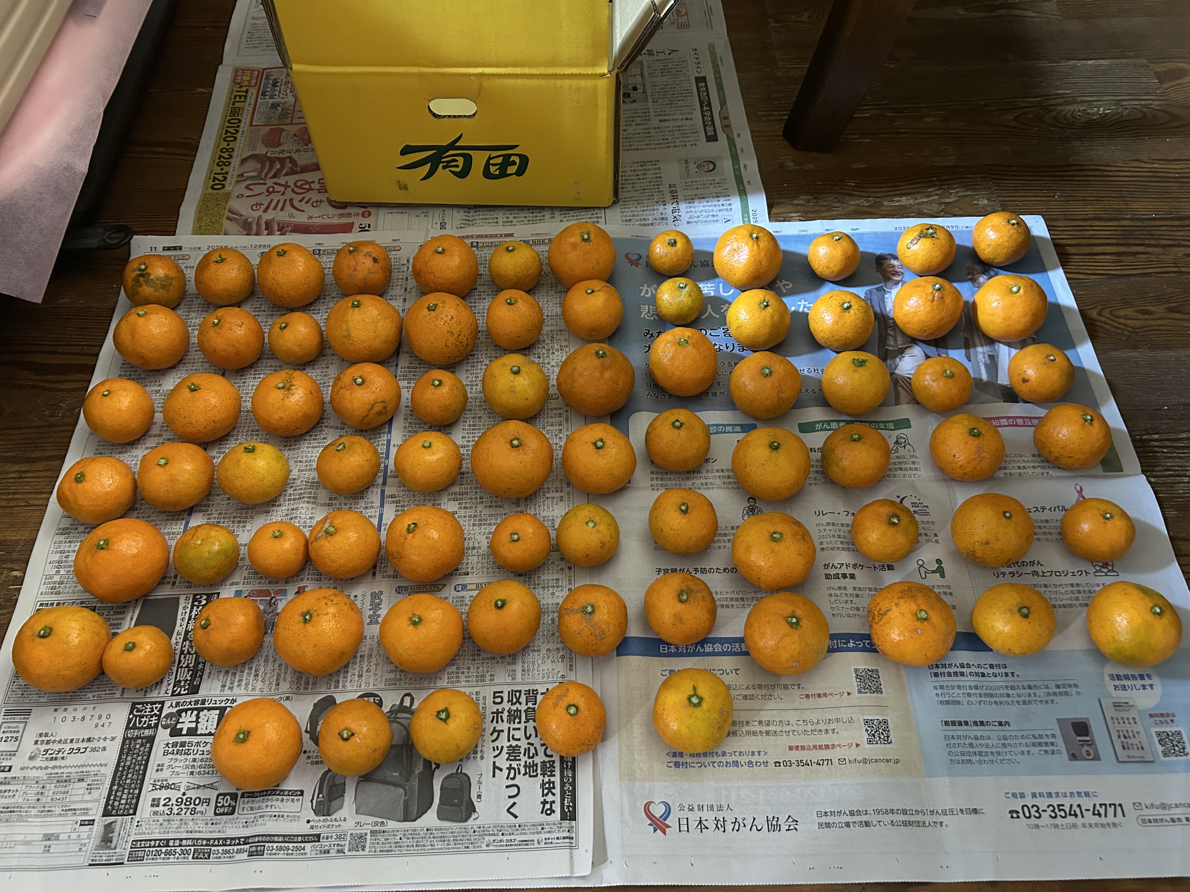 有田みかん　中生みかん　小玉　5キロ✖️4箱 5kg(箱込み) 】 厳選絶品 小玉 有田みかん | 果物/温州みかん 産直