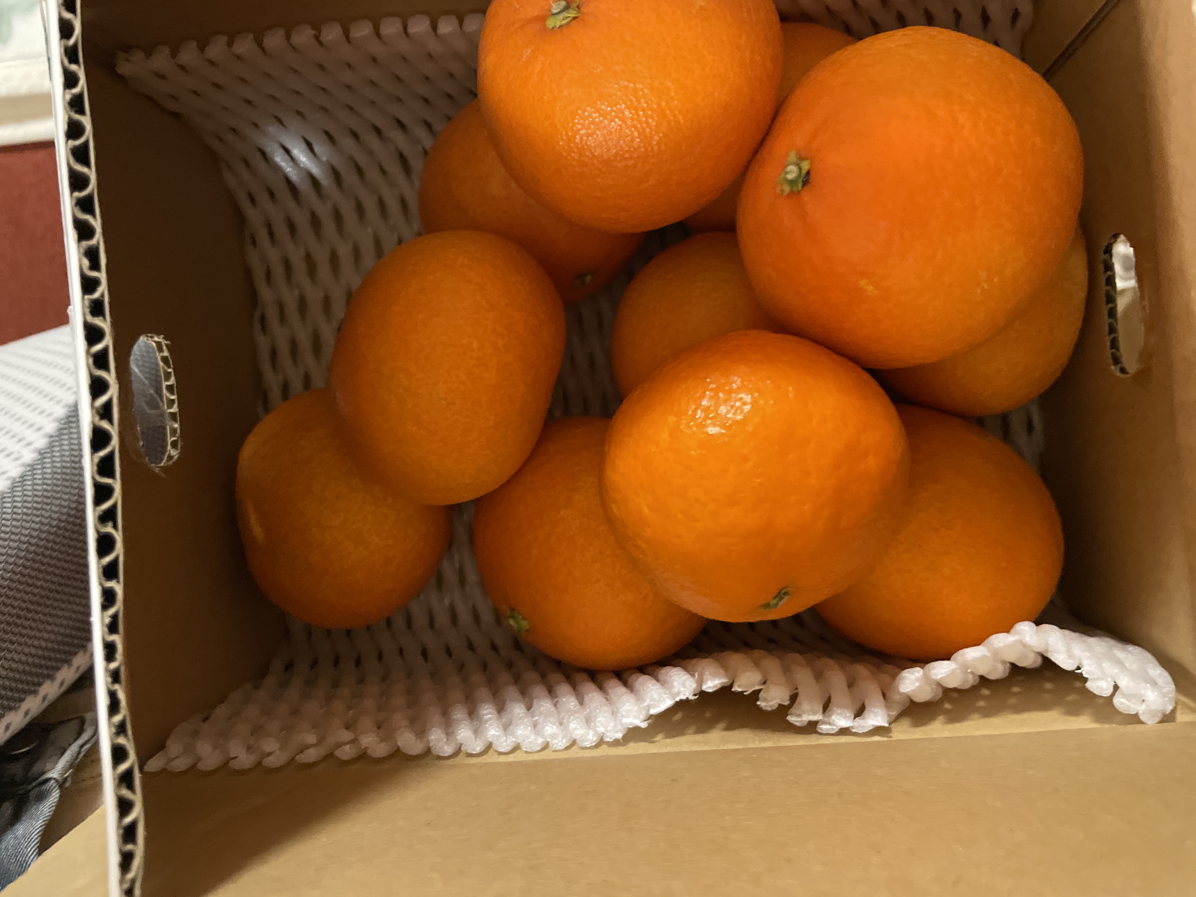 まみちゃんさんが OrangeStoreニノミヤ の 【送料無料】まるで天然