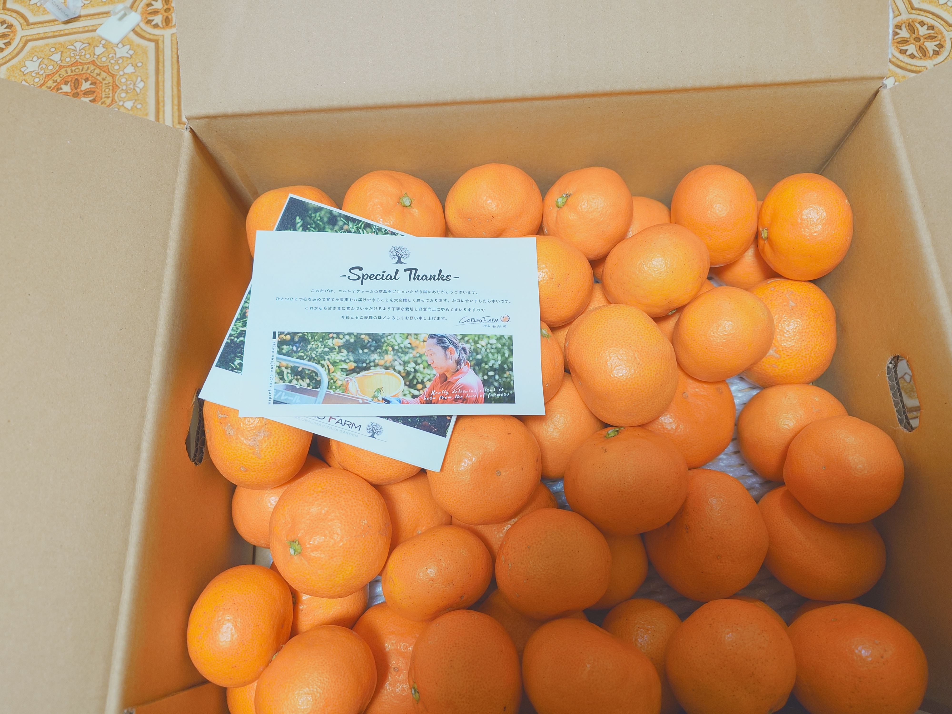 【CPC-LSF】みかん 田舎道さんが CORLEO FARM の ☆送料無料☆【6周年限定】絶品早生
