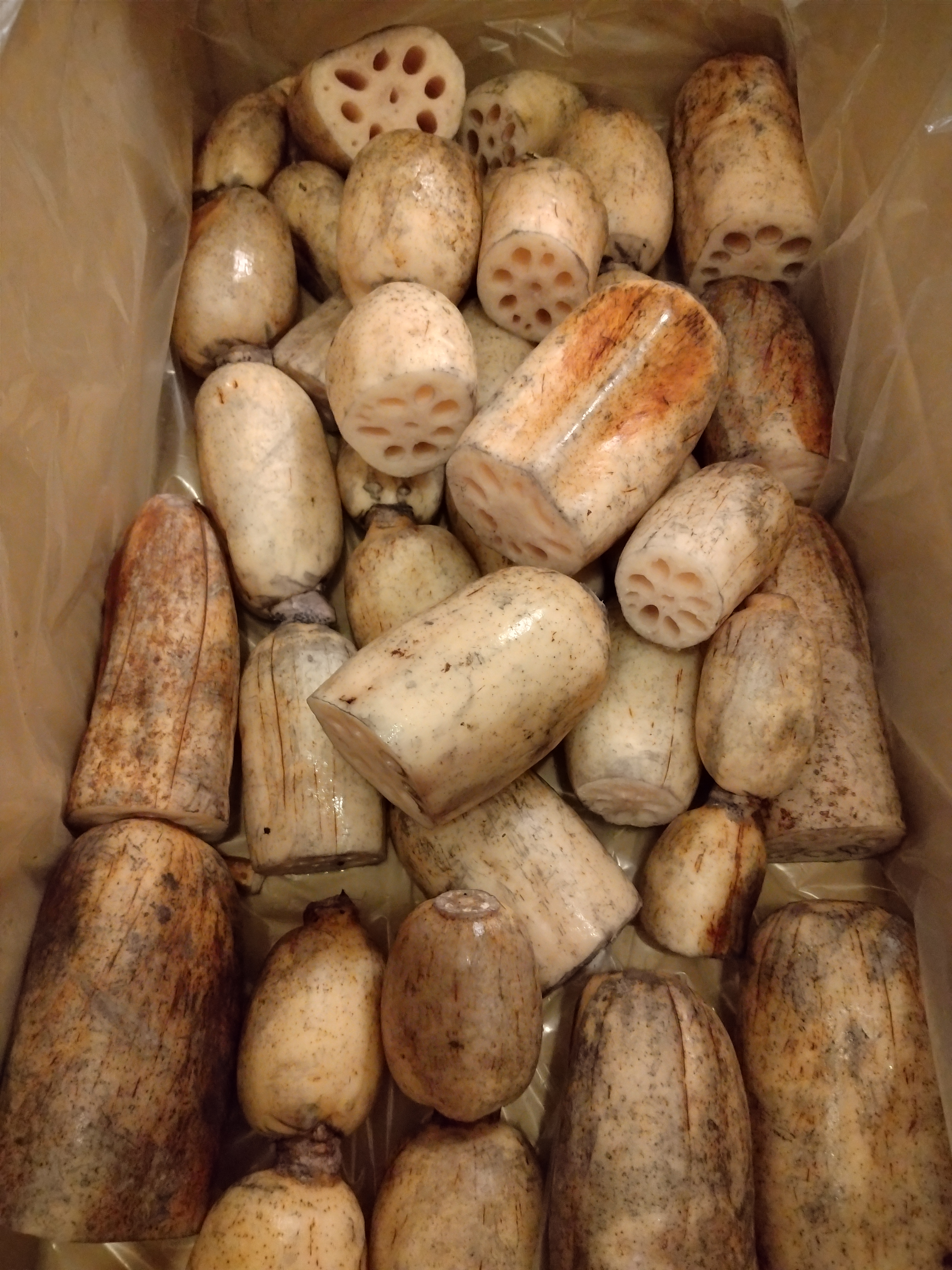 れんこん規格外 蓮根、規格外品 | 野菜/蓮根 産直アウル 農家から直接野菜などの食材を