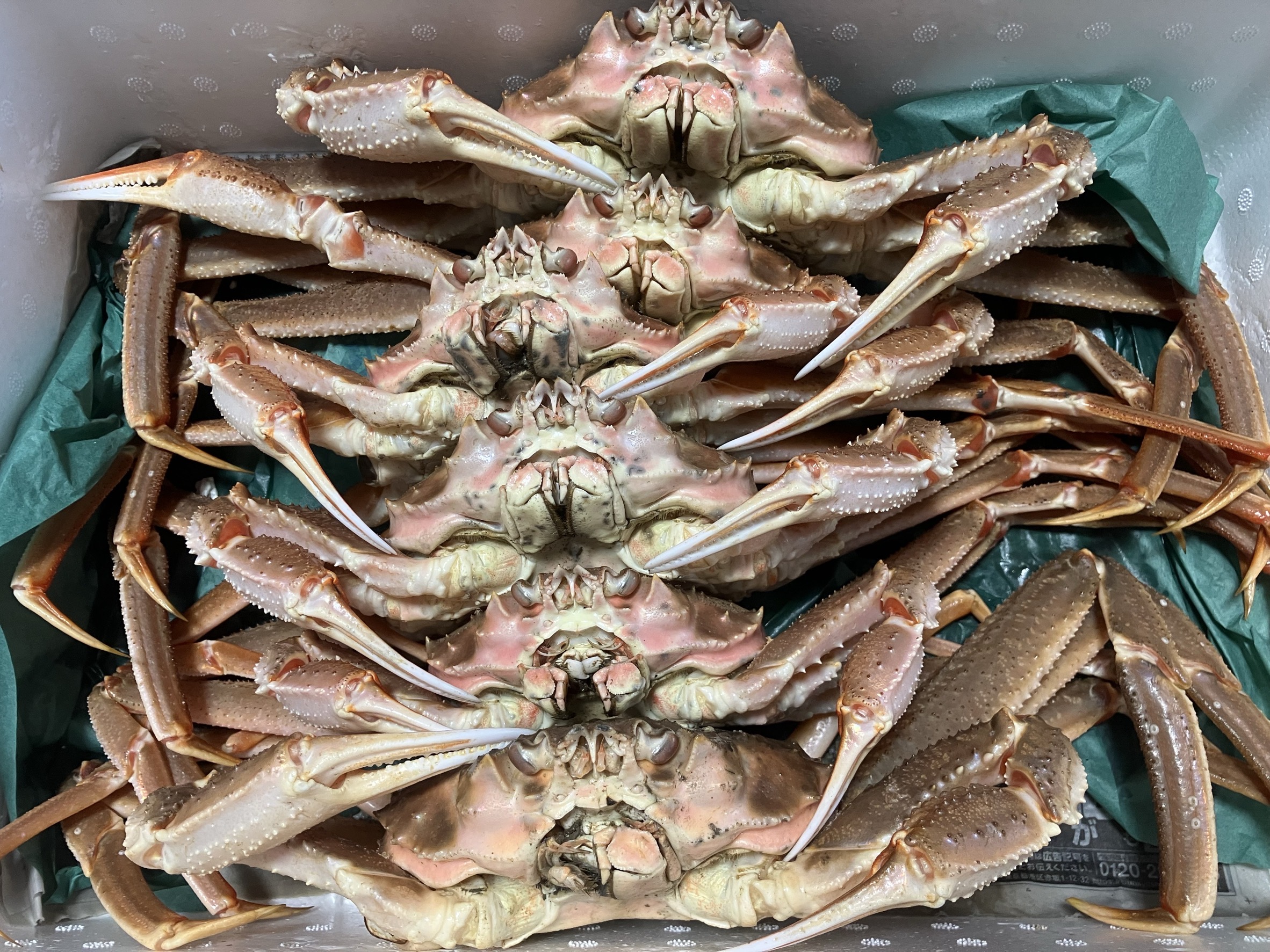 北海道産天然訳あり生オオズワイガニ3杯と生タラバガニ2杯のセット