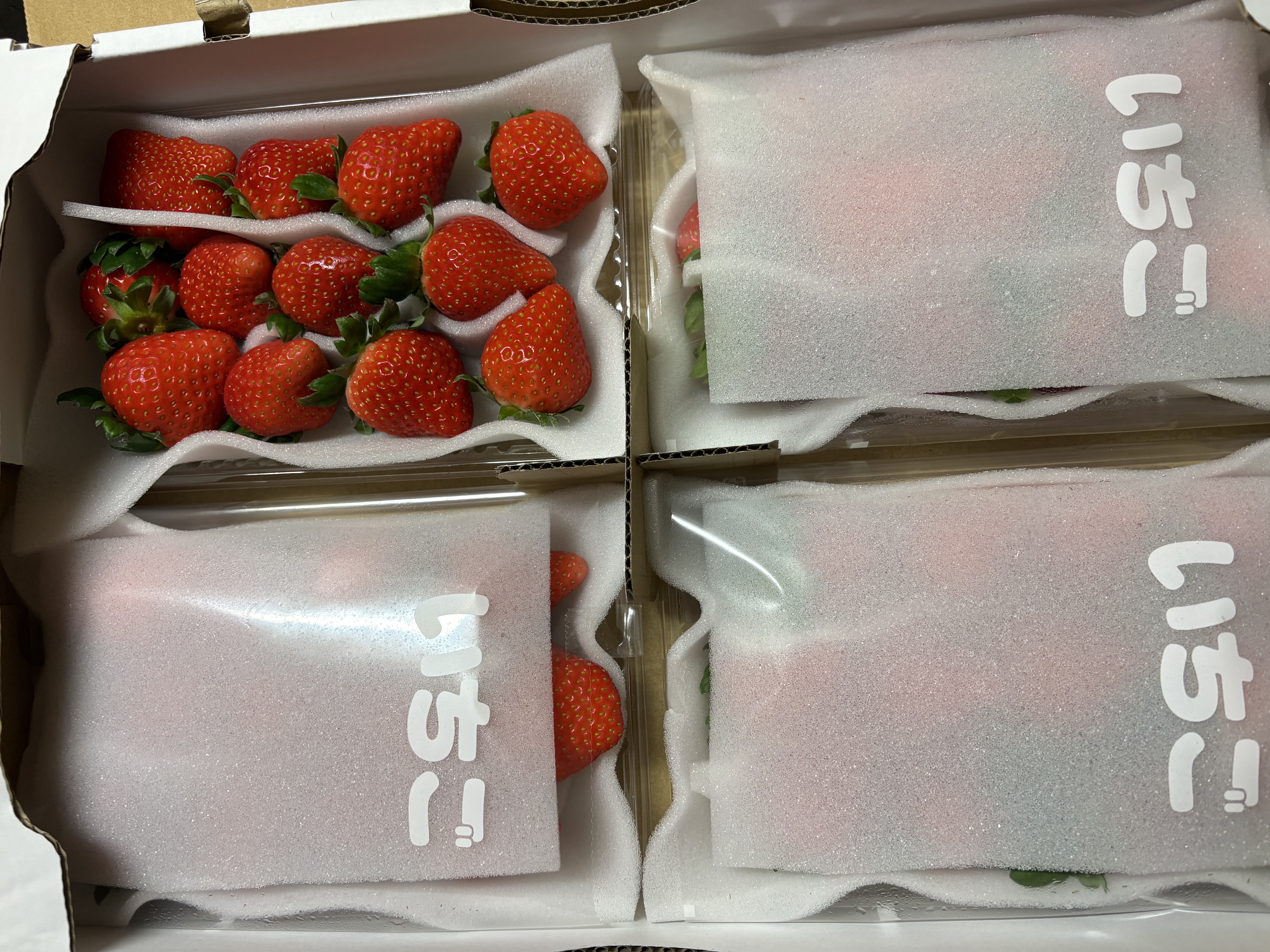 完熟いちご（恋みのり）270g4パック（DXパック） 酸味少ない、関東では