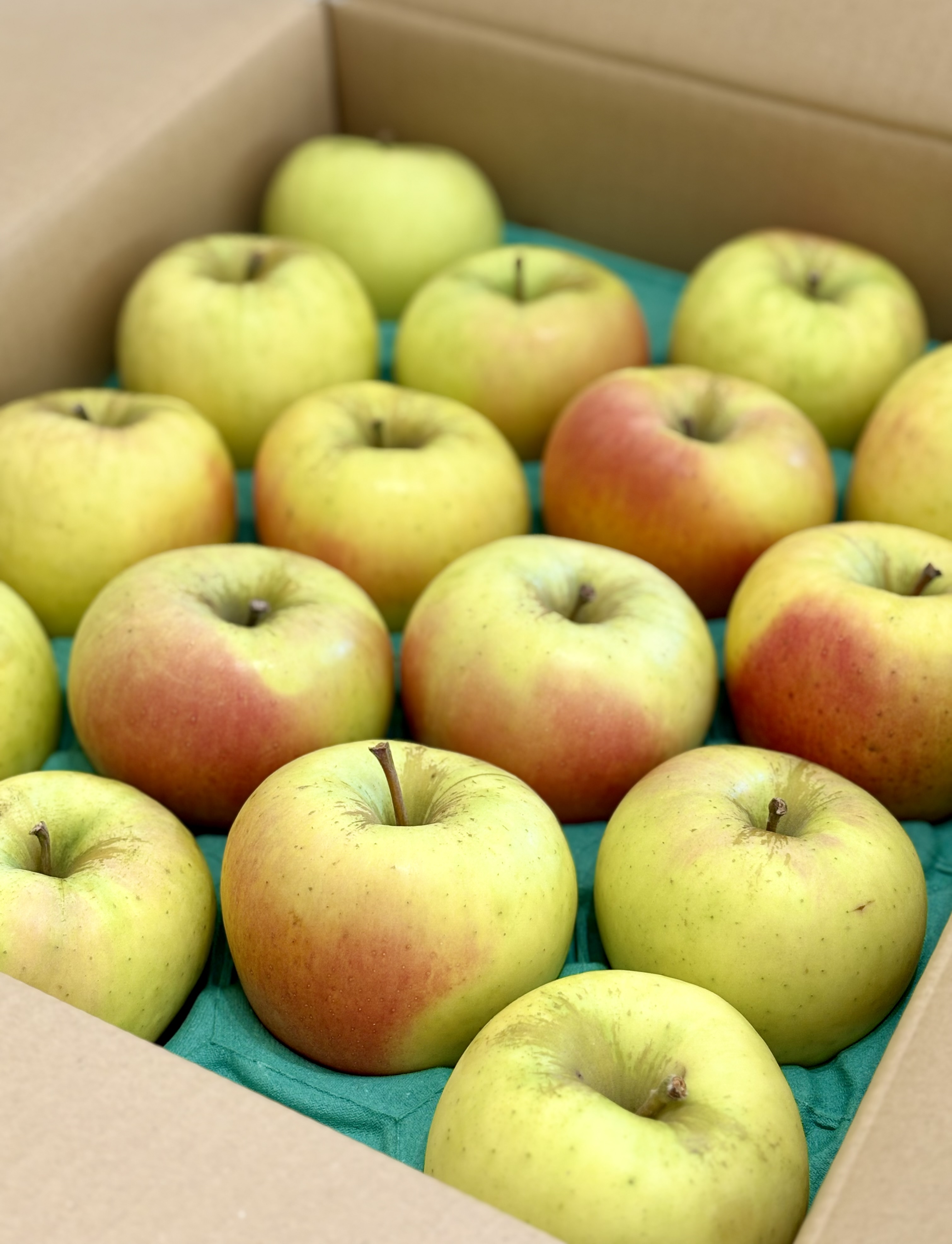 ぱすちゃんさんが ゆえそか商店 の 青森県産りんご「ぐんま名月」家庭