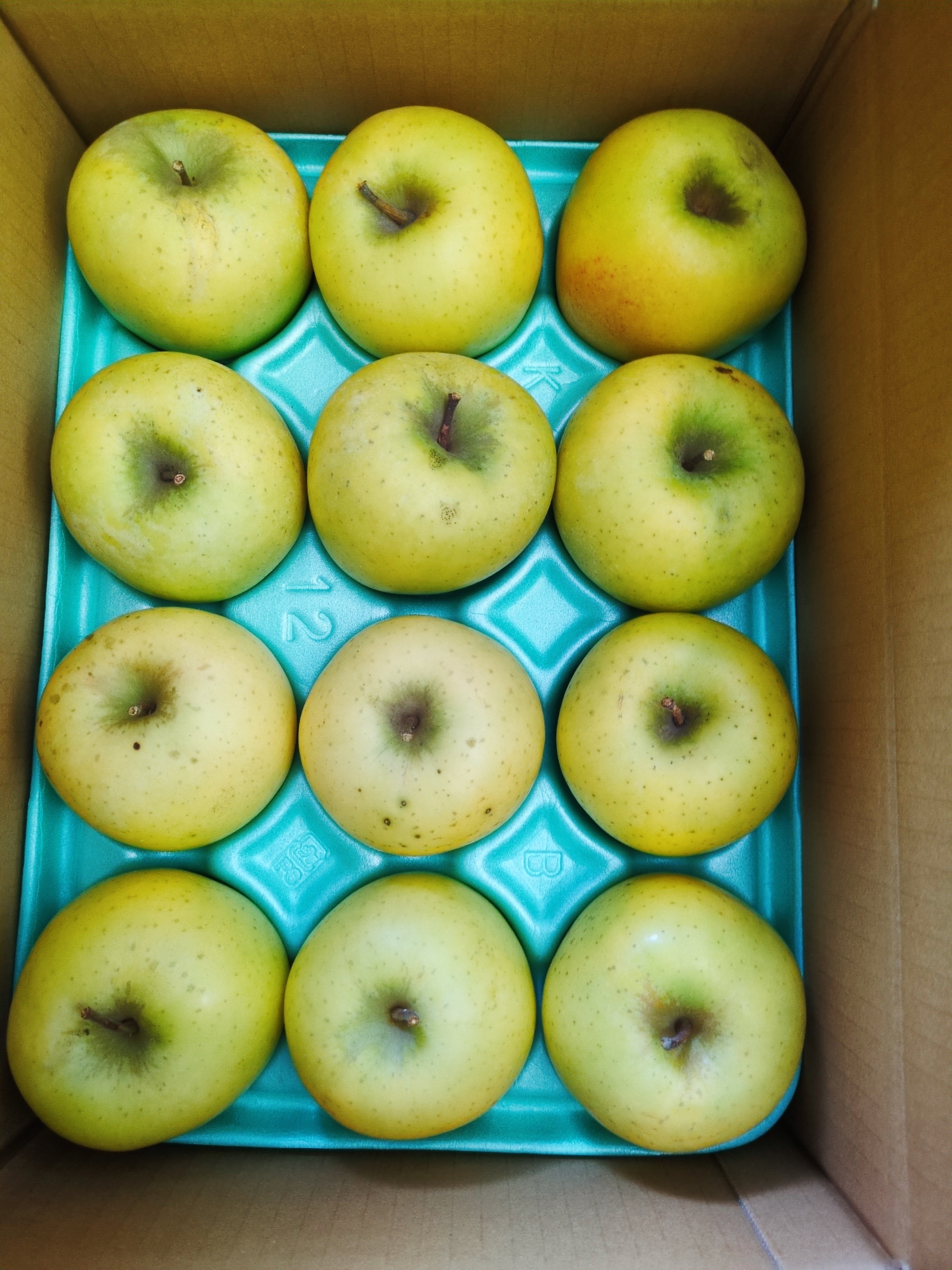 信州 小布施栗 早生栗 2L玉 1キロ | 果物/栗 産直アウル 農家から直接