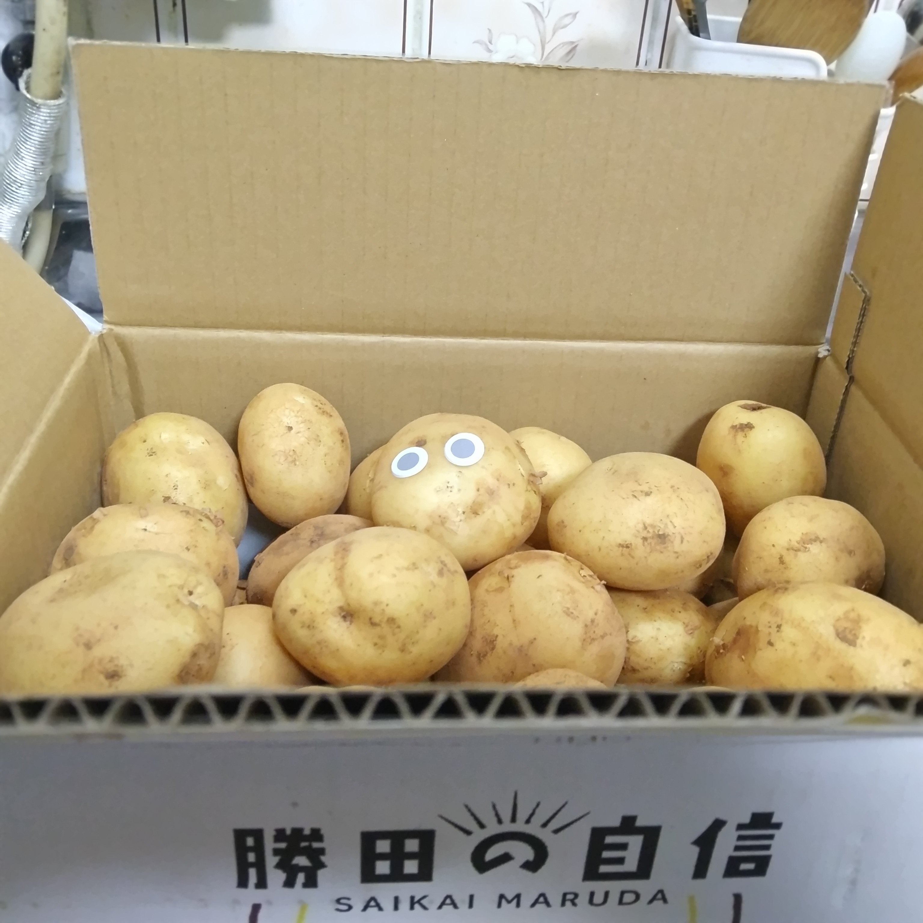 勝田農園の満々じゃがいも(オススメ品種) ｜ 野菜/じゃがいも 産直 