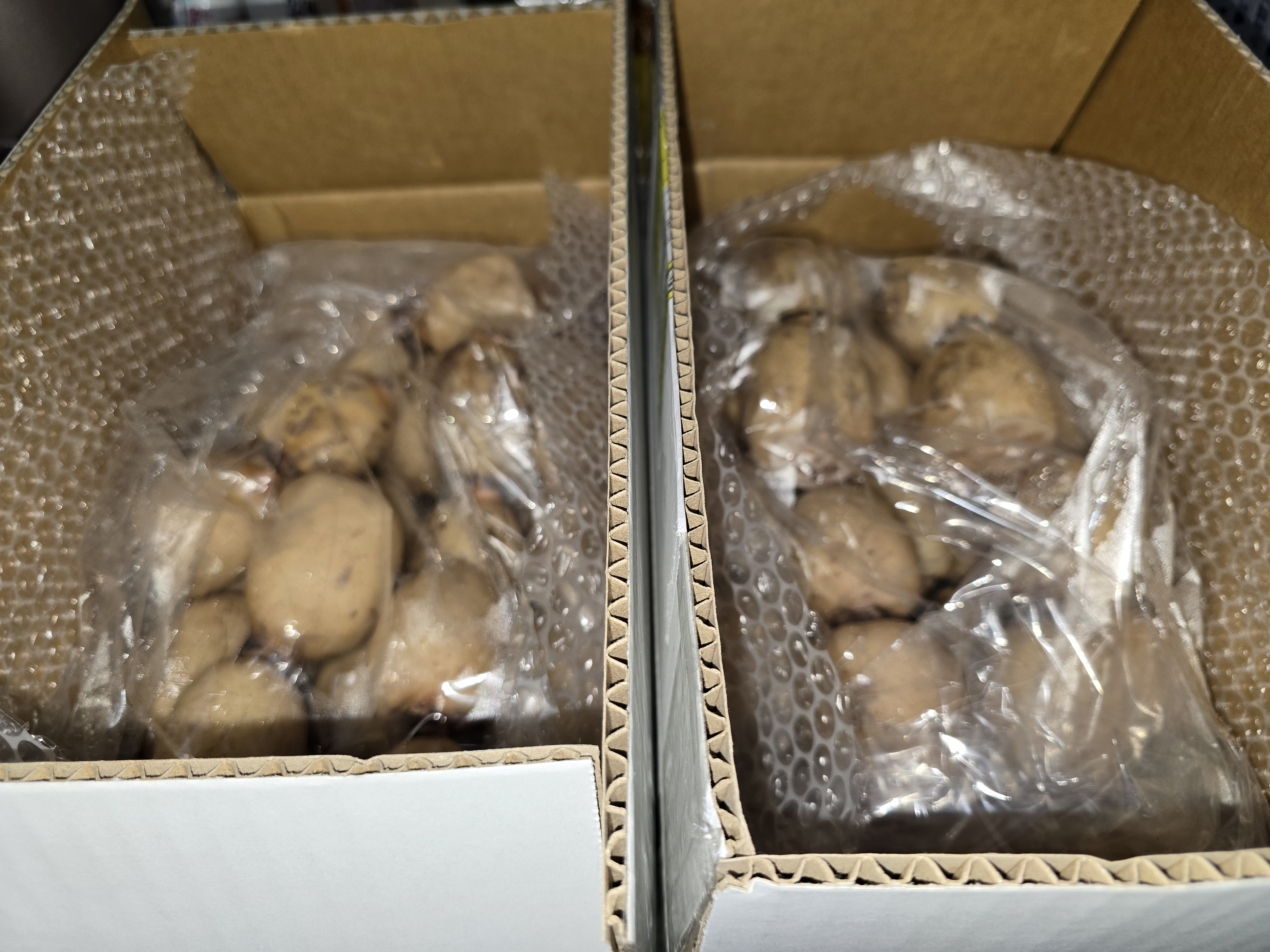 お得品2㌔】チビッこれんこん ｜ 野菜/蓮根 産直アウル 農家・漁師