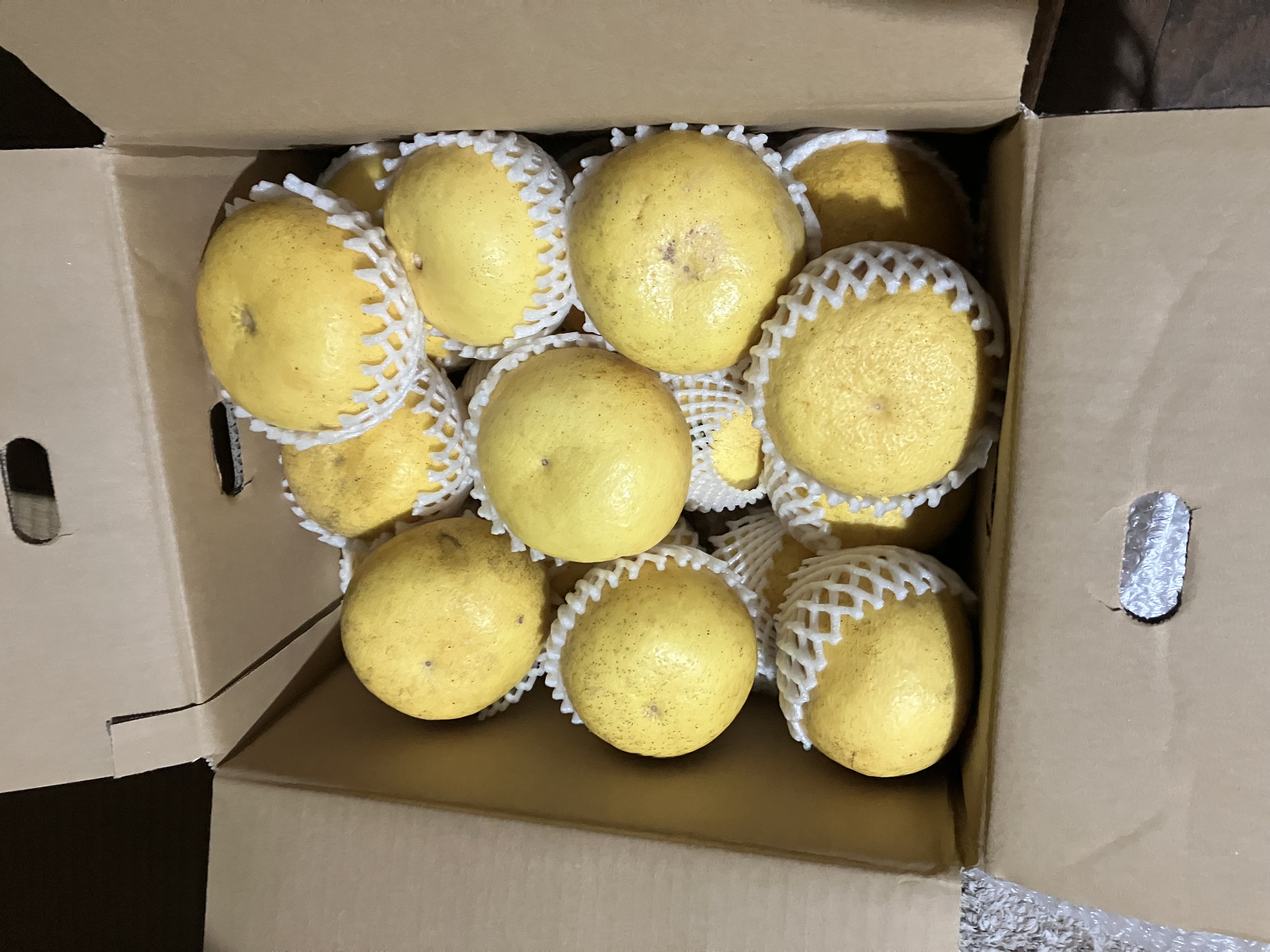 パール柑】20箱限定※完全無農薬栽培《大玉・中玉混合15〜18玉、9kg前後