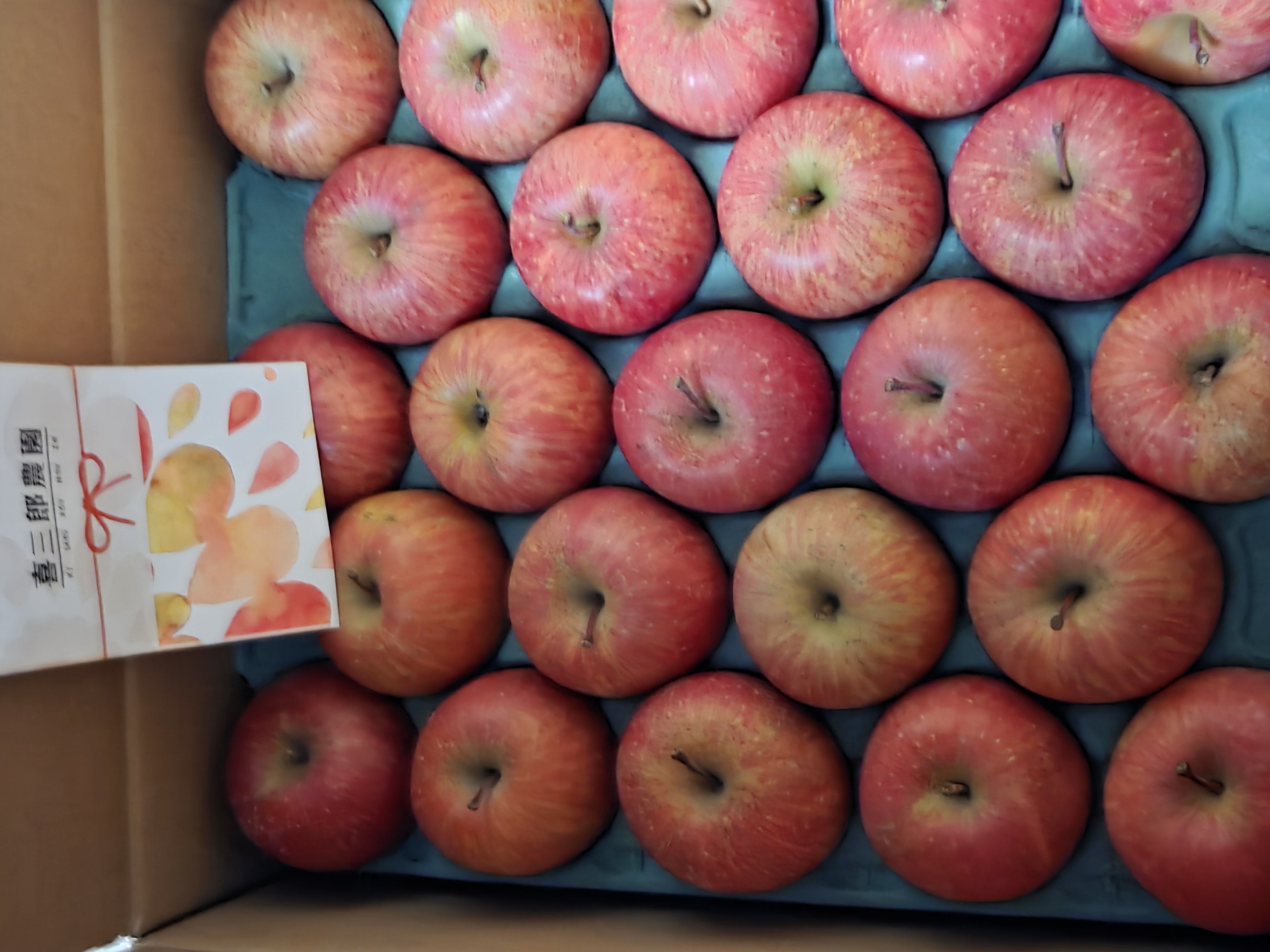 樹上完熟 喜三郎農園のはるか家庭用約2k ｜ 果物/りんご 産直アウル