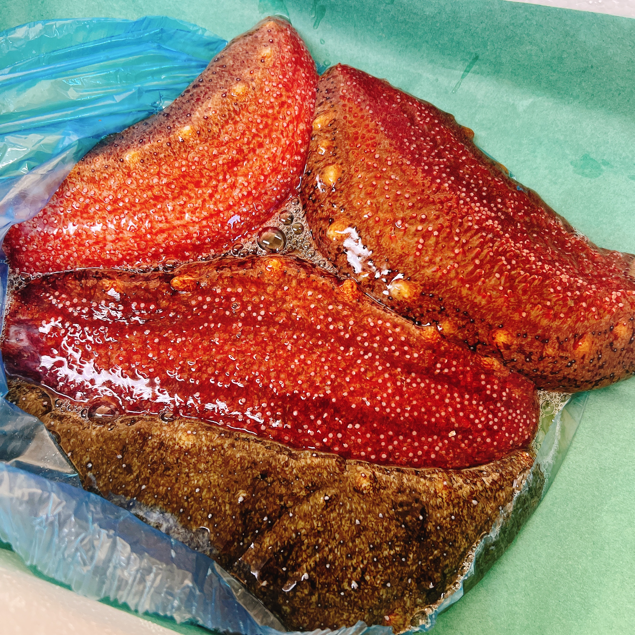 ナマコ（山口県・周防大島 青年漁師団）の口コミ・レビュー | 産直アウル