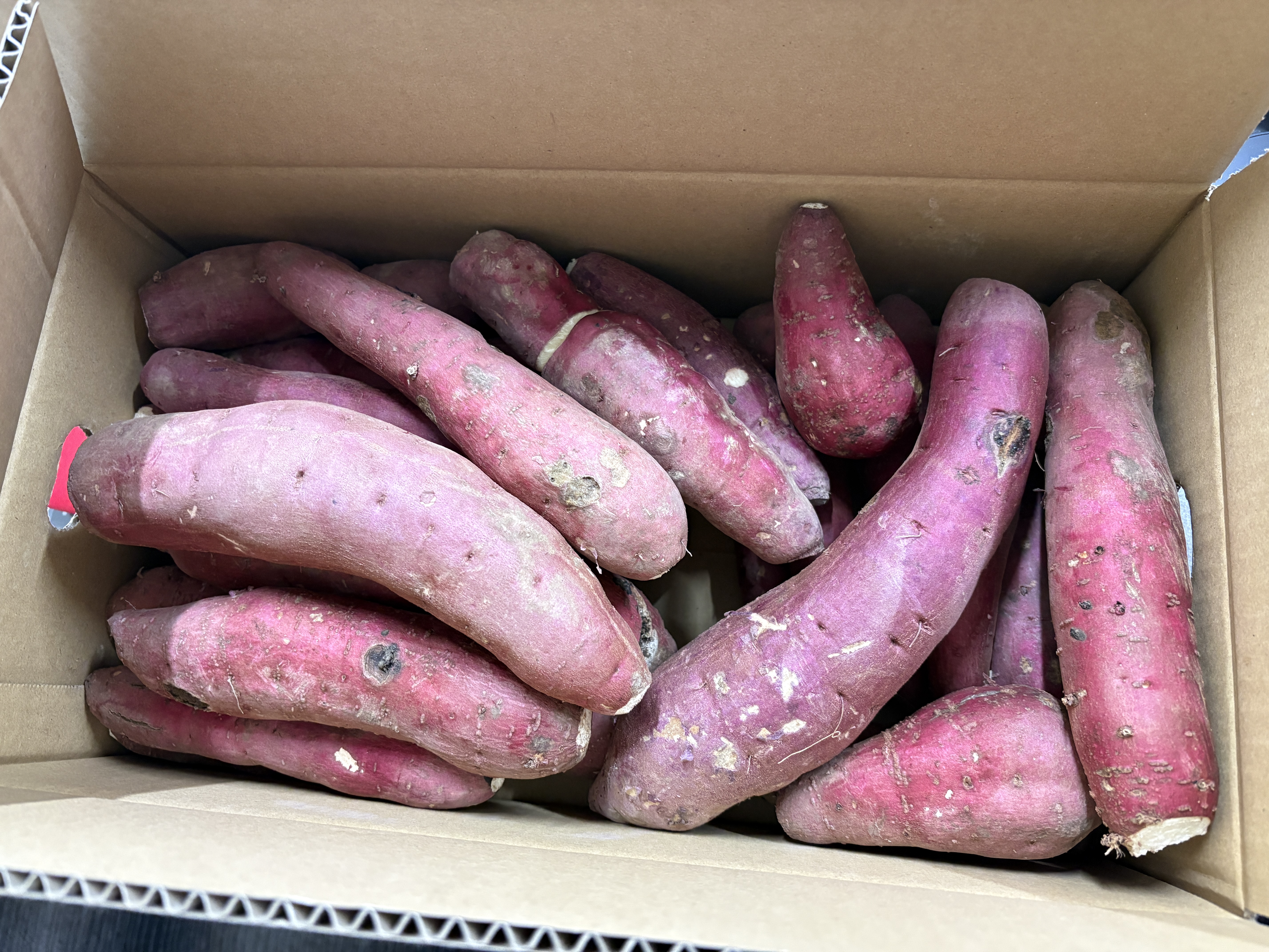 べにはるか　A品L 20キロ 数量限定！驚愕のビッグサイズ！熟成紅はるか(土付き)土付きビッグ紅