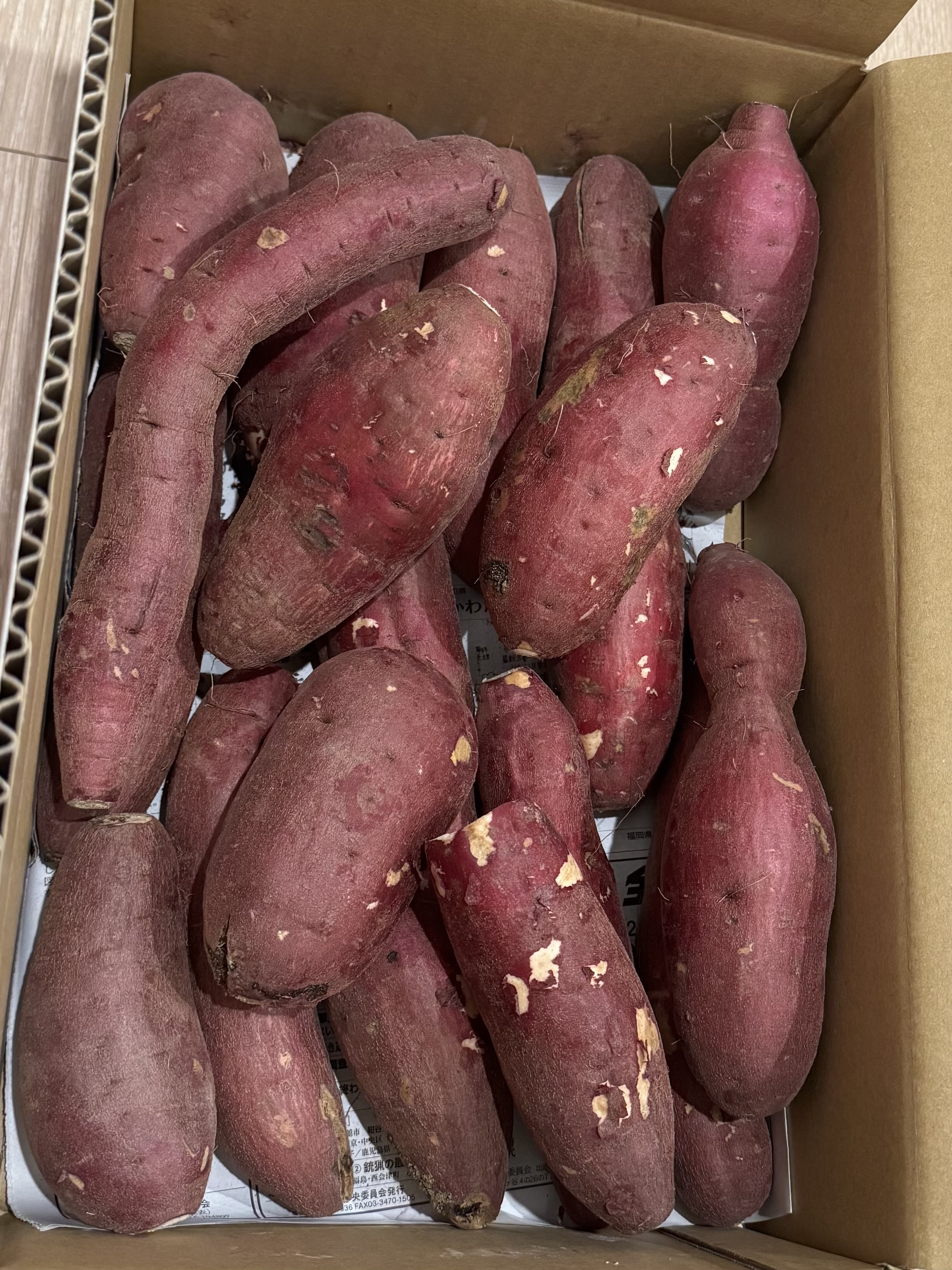 在庫残りわずか】訳あり紅はる10kgか (S〜M) ｜ 野菜/さつまいも 産直 