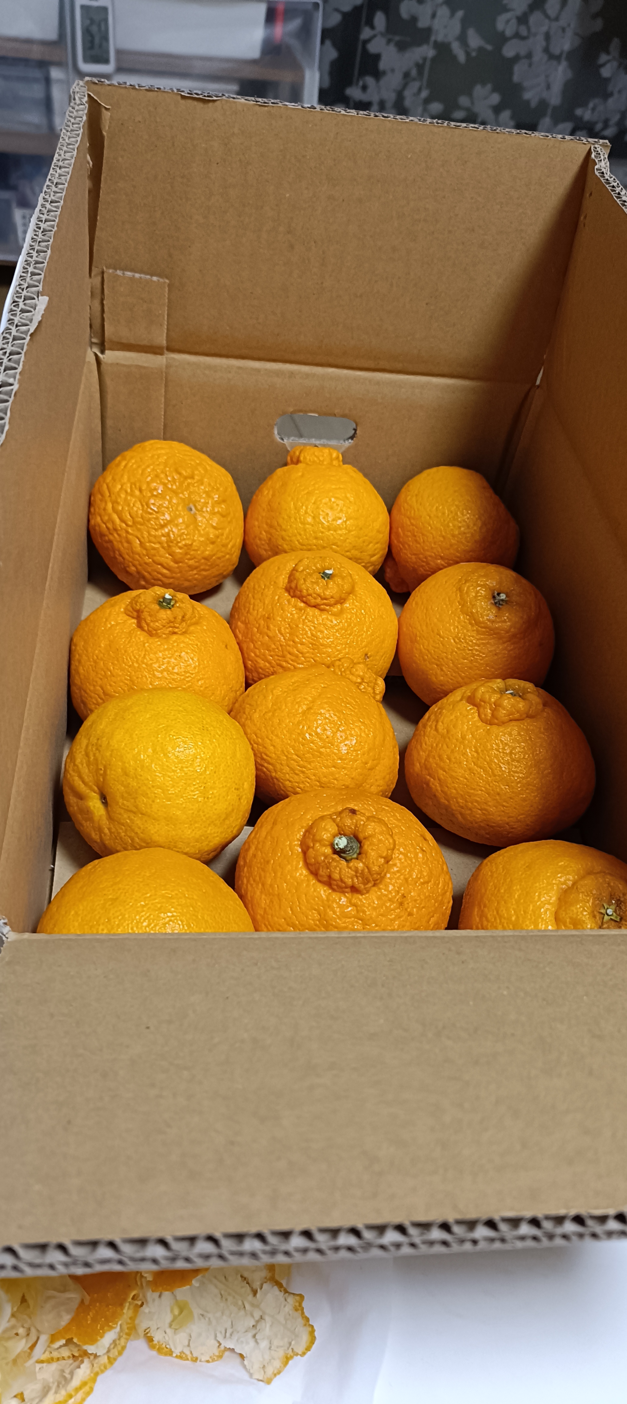 超甘！宮川早生 小玉（2S） 10kg | 果物/温州みかん 産直アウル 農家