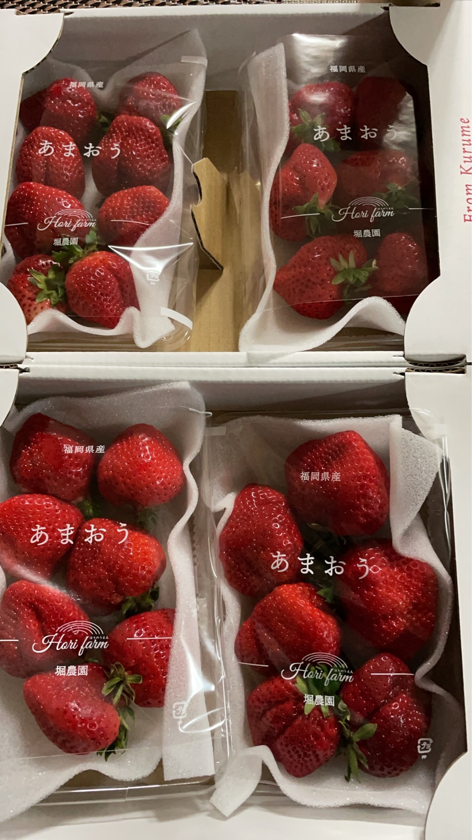 有機質栽培 減農薬 新米夢つくし玄米30キロ | 米・穀物/玄米 産直