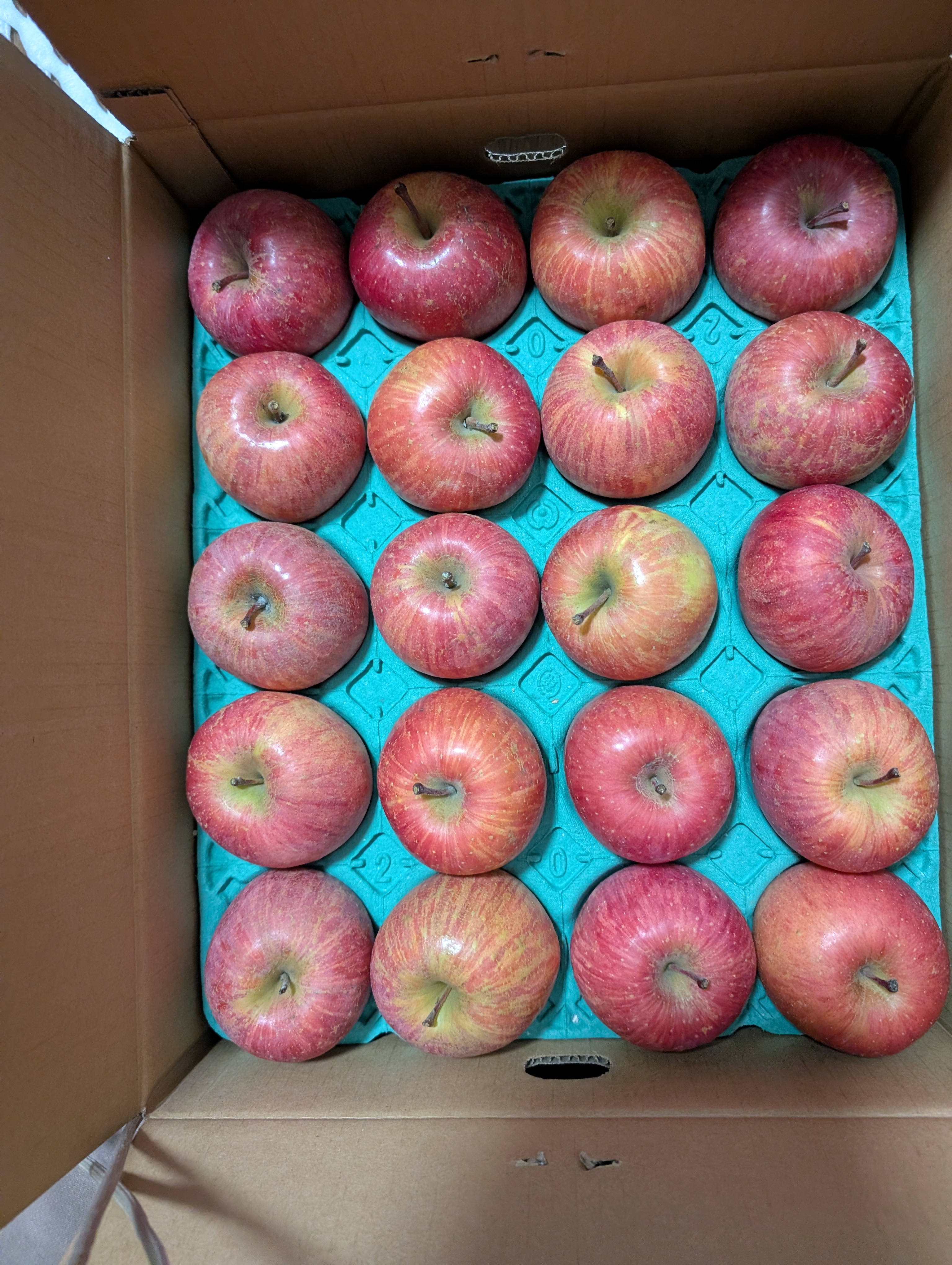 りんご サンふじ 家庭用小玉 10kg | 果物/りんご 産直アウル 農家から