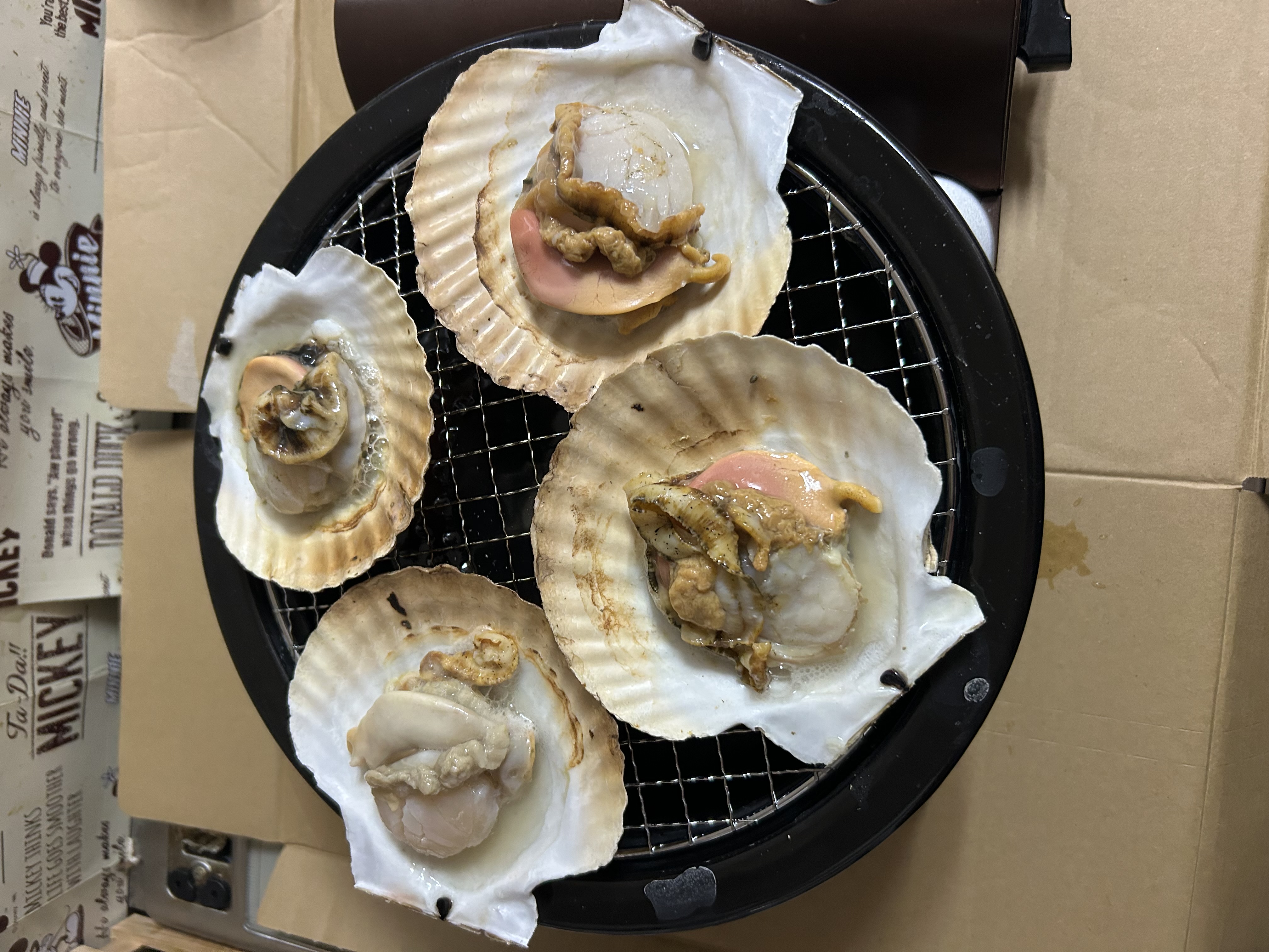 北海道 噴火湾 5キロ ベビーホタテ 稚貝 | 魚介類/ホタテ 産直アウル