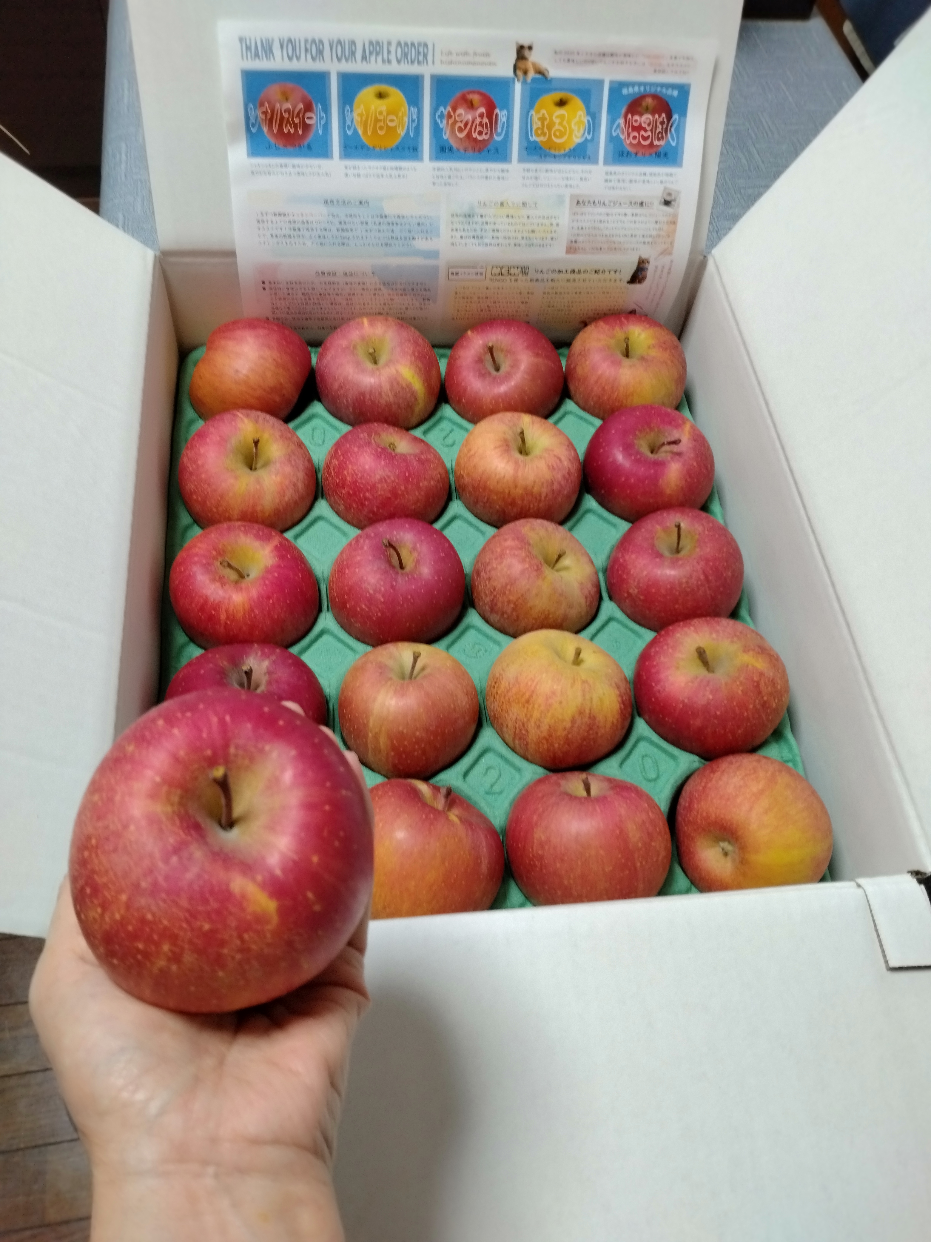 小玉はるか【スマートフレッシュりんご家庭用約3kg】（玉数指定不可