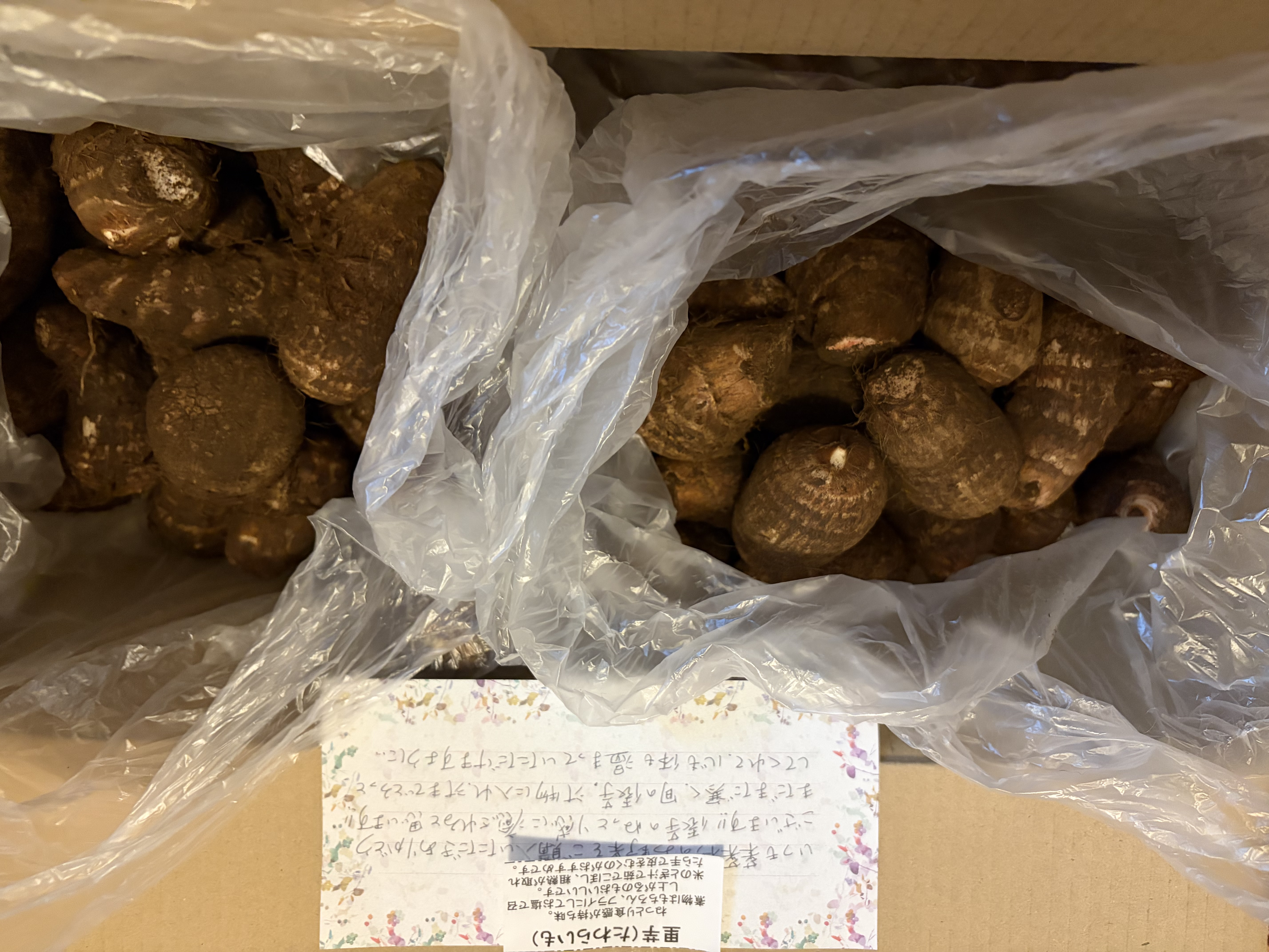 たわらいも（俵芋） 神奈川が誇る里芋です！」 ｜ 野菜/里いも 産直