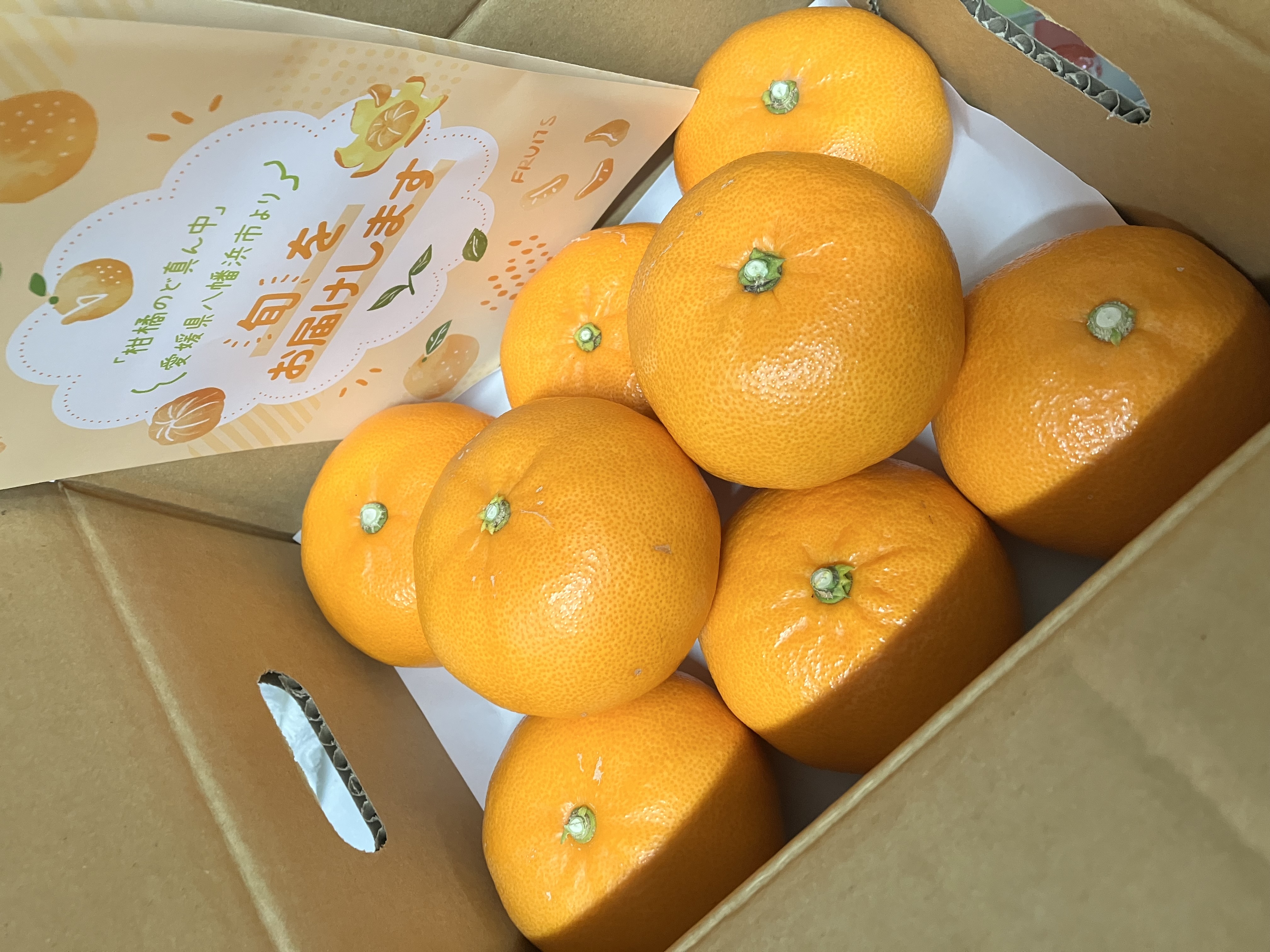しのもー様専用 紅ぷり2kg+せとか4kgぐるりん 【公式通販】