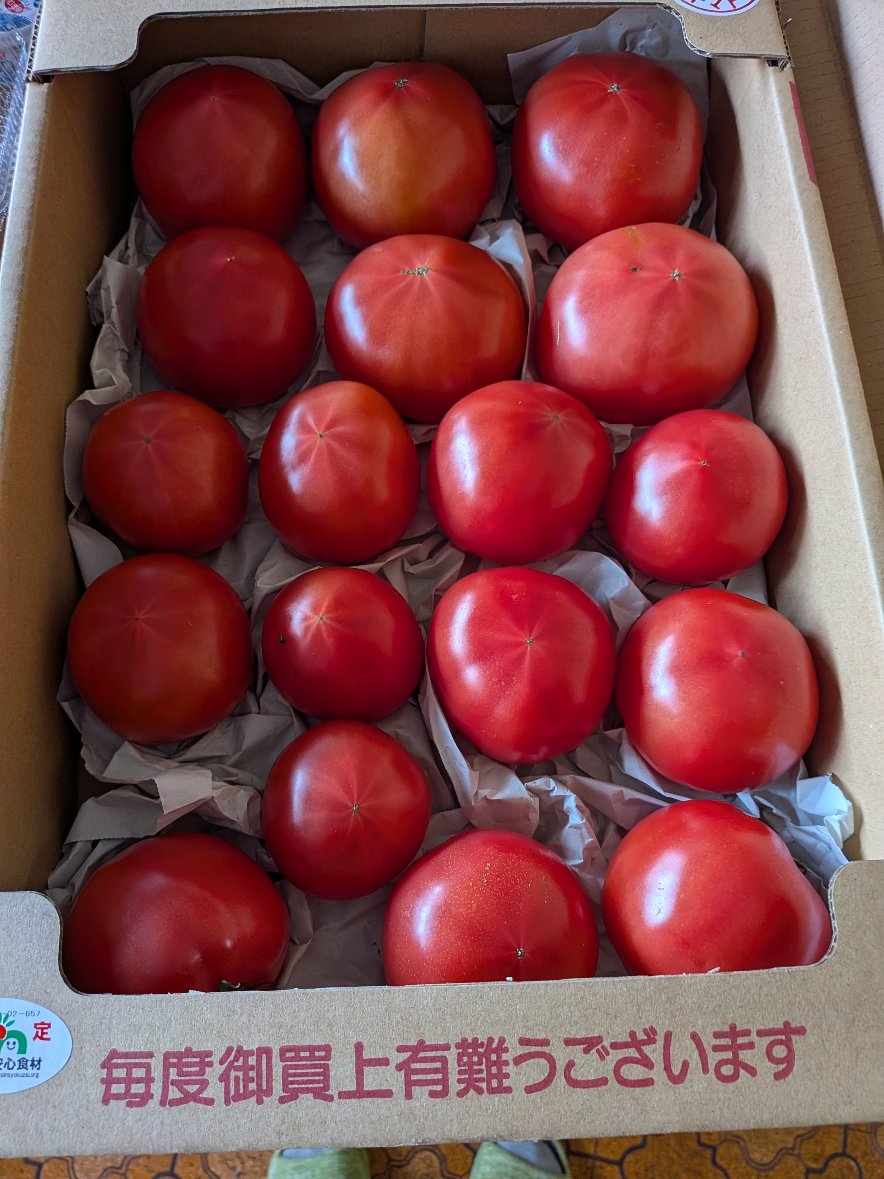 王様トマト」・品種名：ごほうび ｜ 野菜/トマト 産直アウル 農家