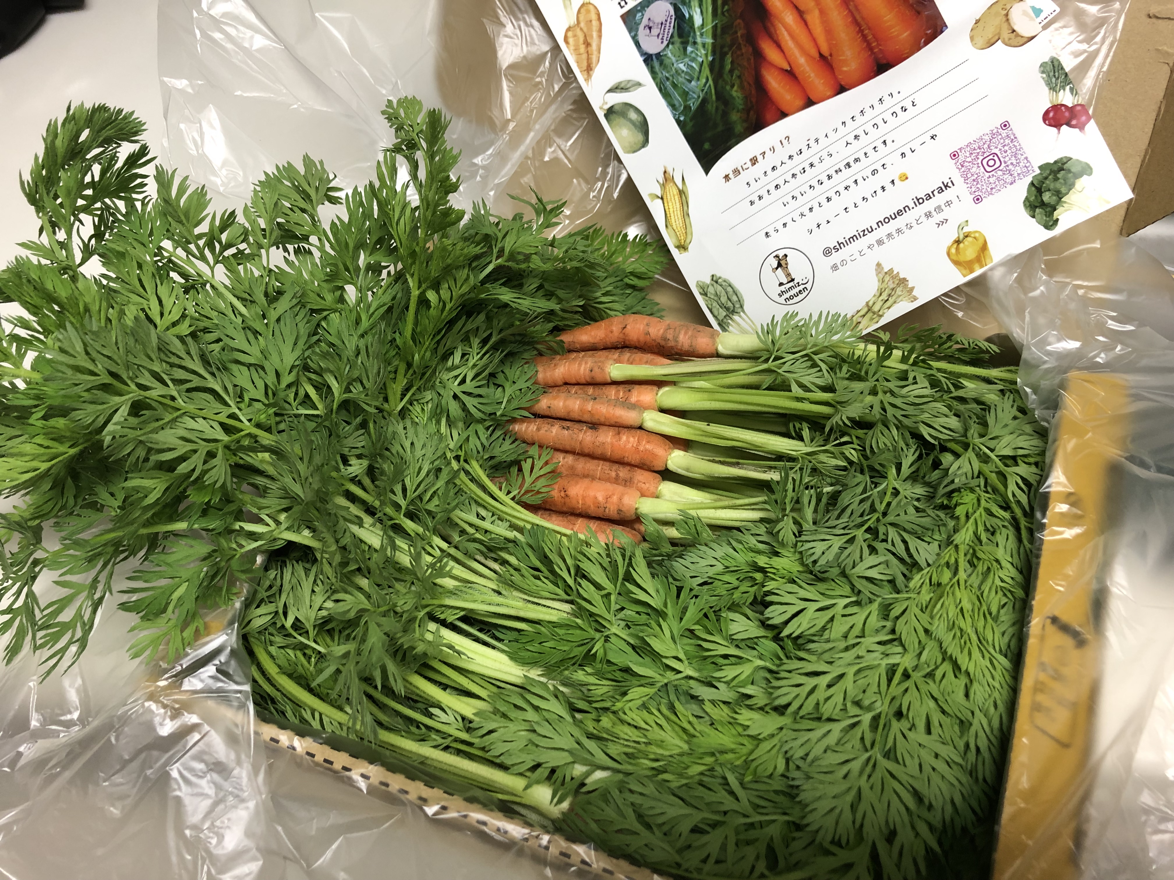 訳あり】おおもの?ちょっとカットver. ｜ 野菜/とうもろこし 産直 