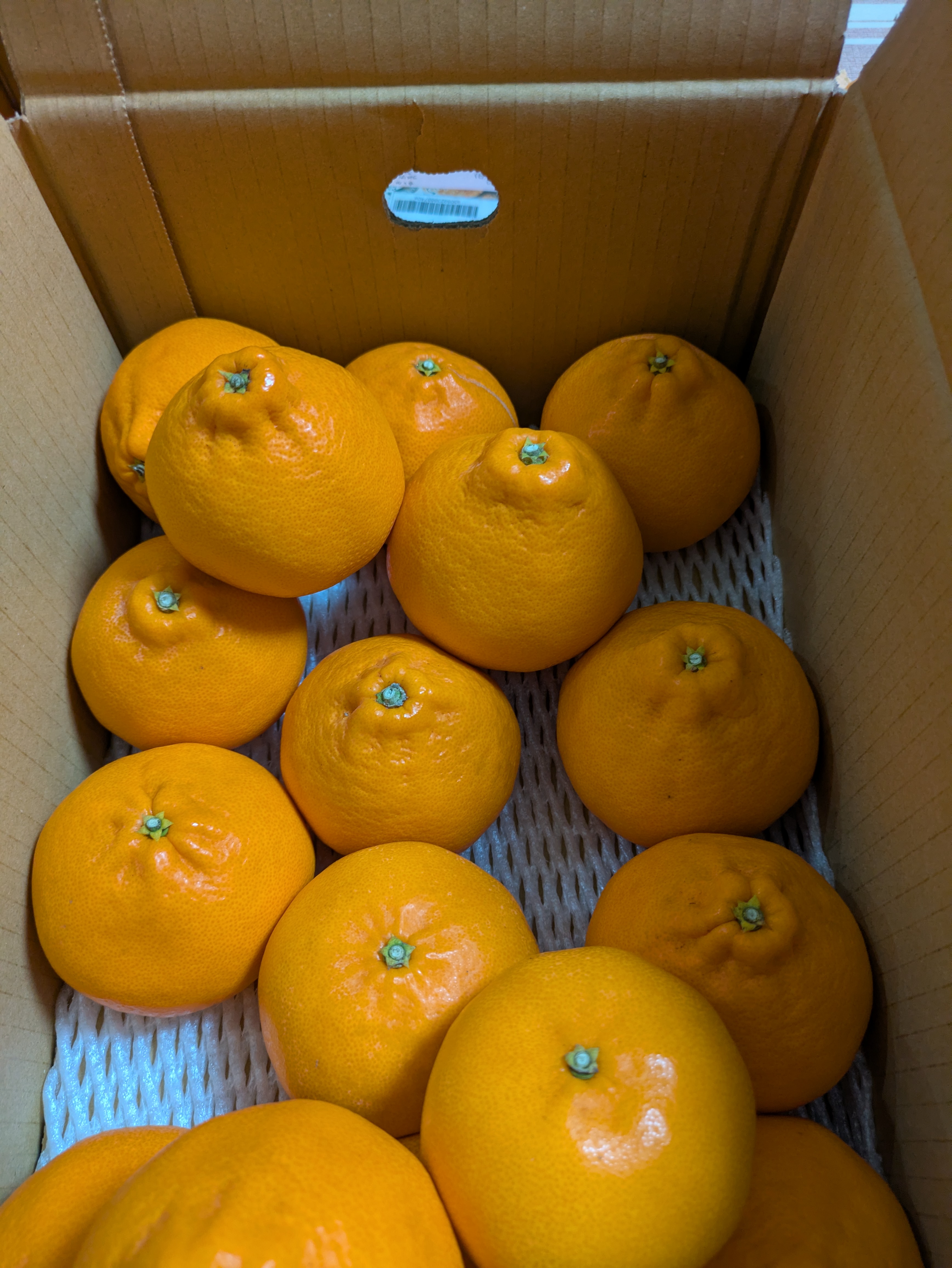 最高級の甘さ！ゆら早生　小玉10kg 楽天市場】ゆら早生みかん 送料無料【 秀品 S サイズ 10kg 】秋みかん