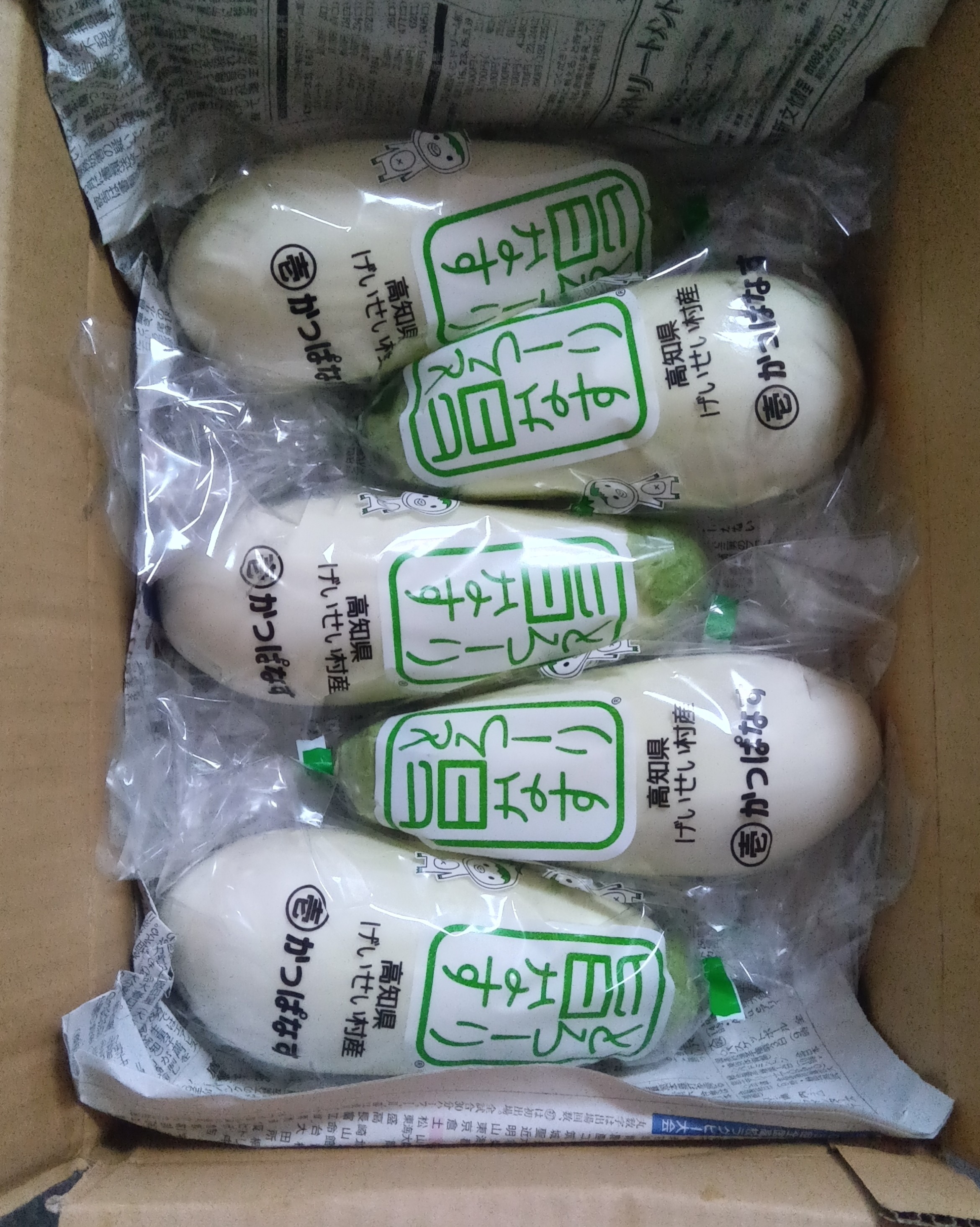 まる壱農園（高知県・芸西村）｜生産者詳細｜産直アウル