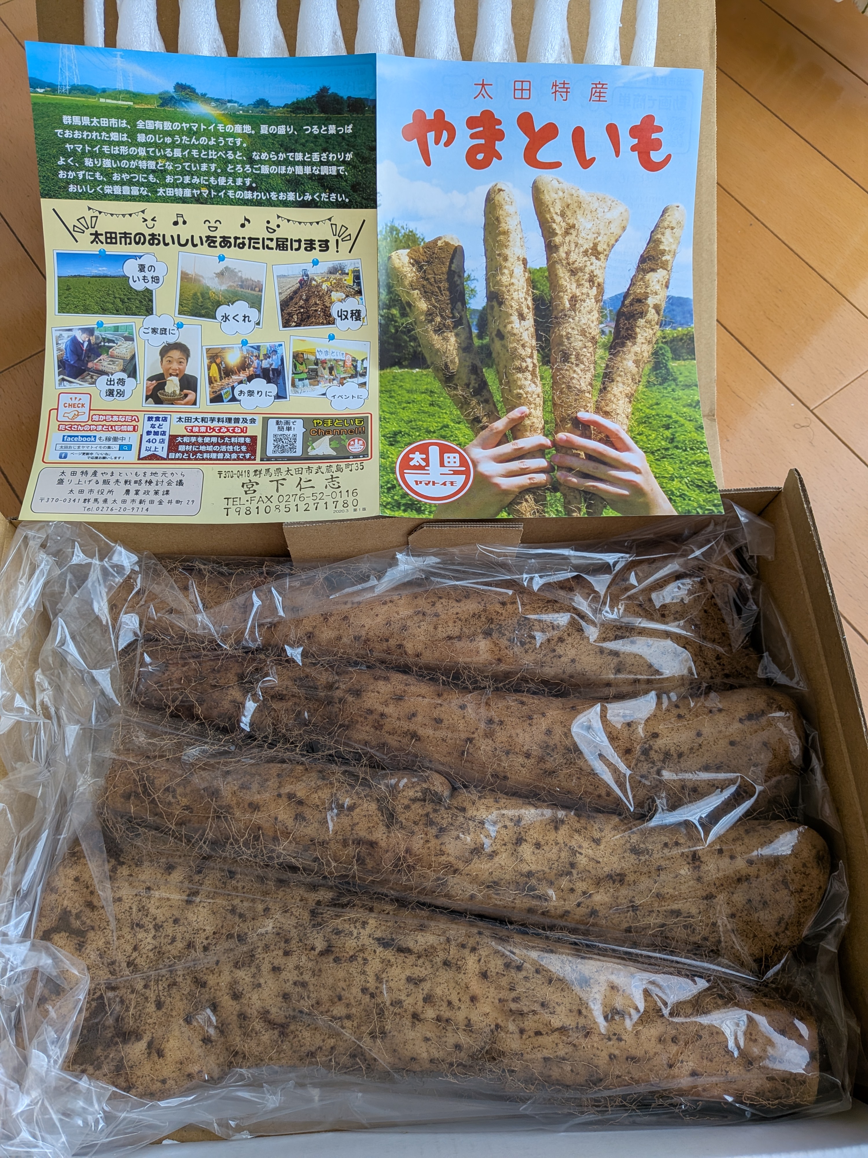 業務用 大和芋 泥付き約10キロ群馬県尾島産 ｜ 野菜/長いも・山いも