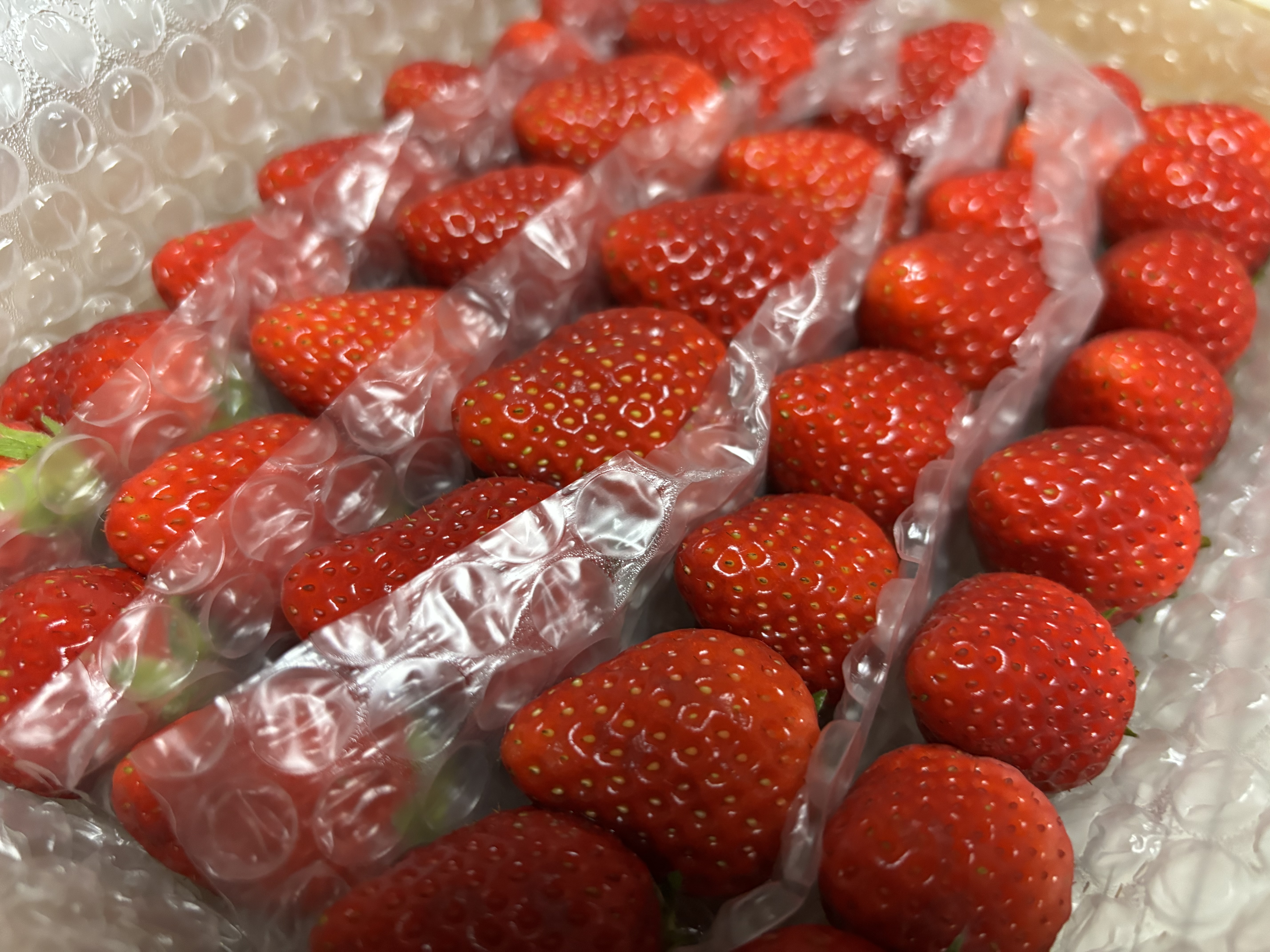 販売終了】満足2段サイズ×2パック【よつぼしイチゴ】 ｜ 果物/いちご