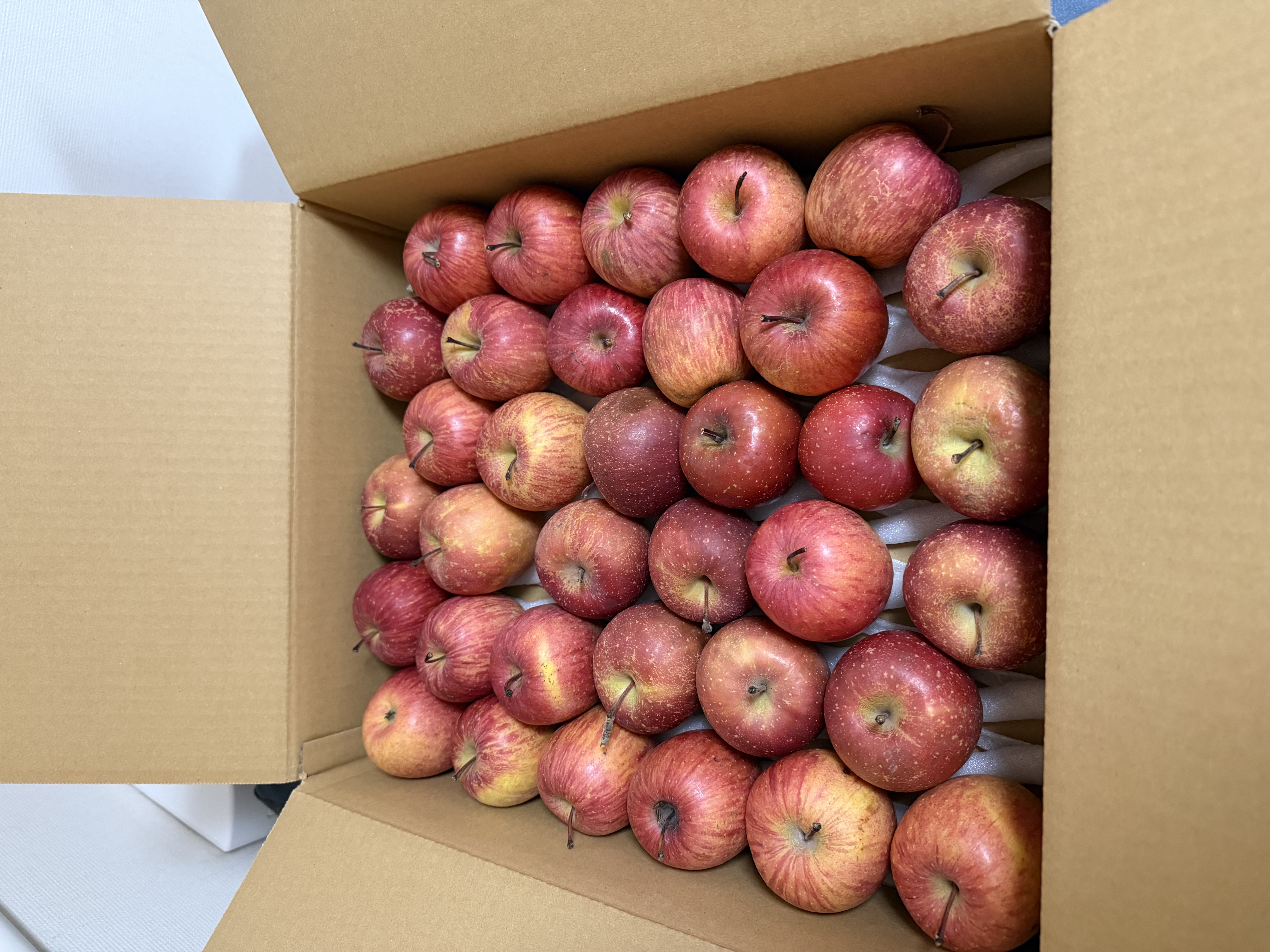 2021年 収穫 (ゆめあかり) 30kg 米 30kg つきあかり 玄米 お米 7年産 福島県産 送料無料 『令和7年福島