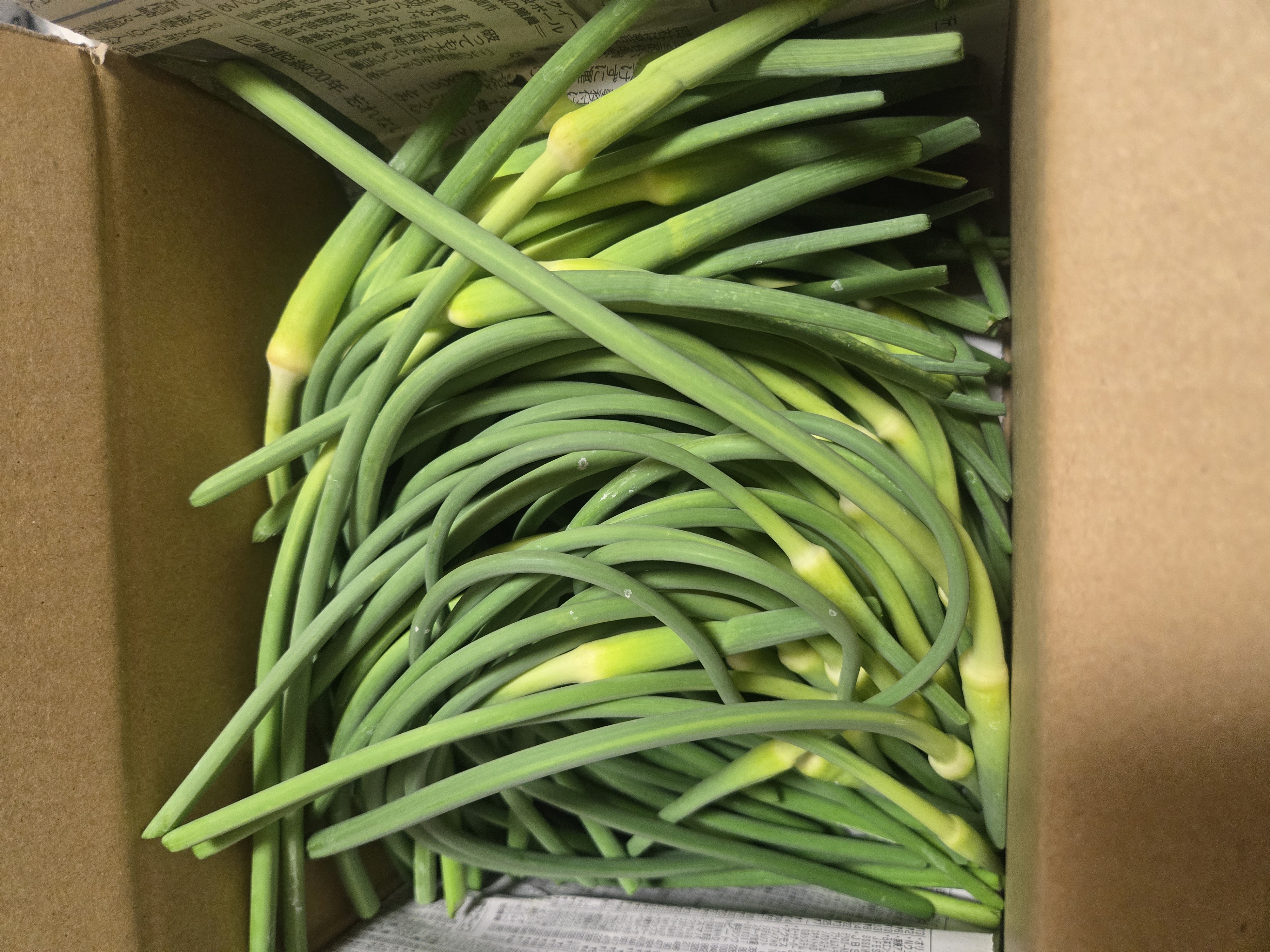 香川県産 にんにく サイズミックス バラ1kg 【さかした農園】 ｜ 野菜