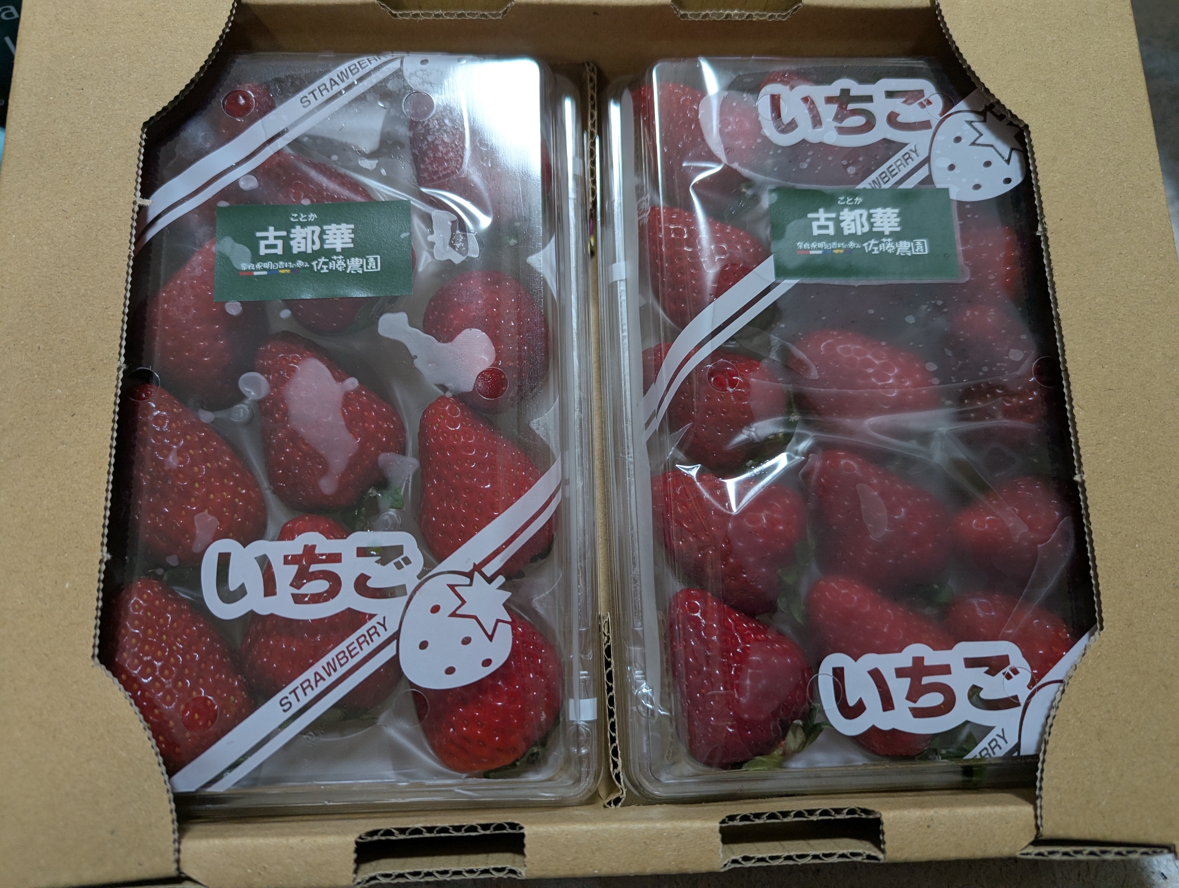 朝採り新鮮・特大いちご（古都華） ｜ 果物/いちご 産直アウル 農家