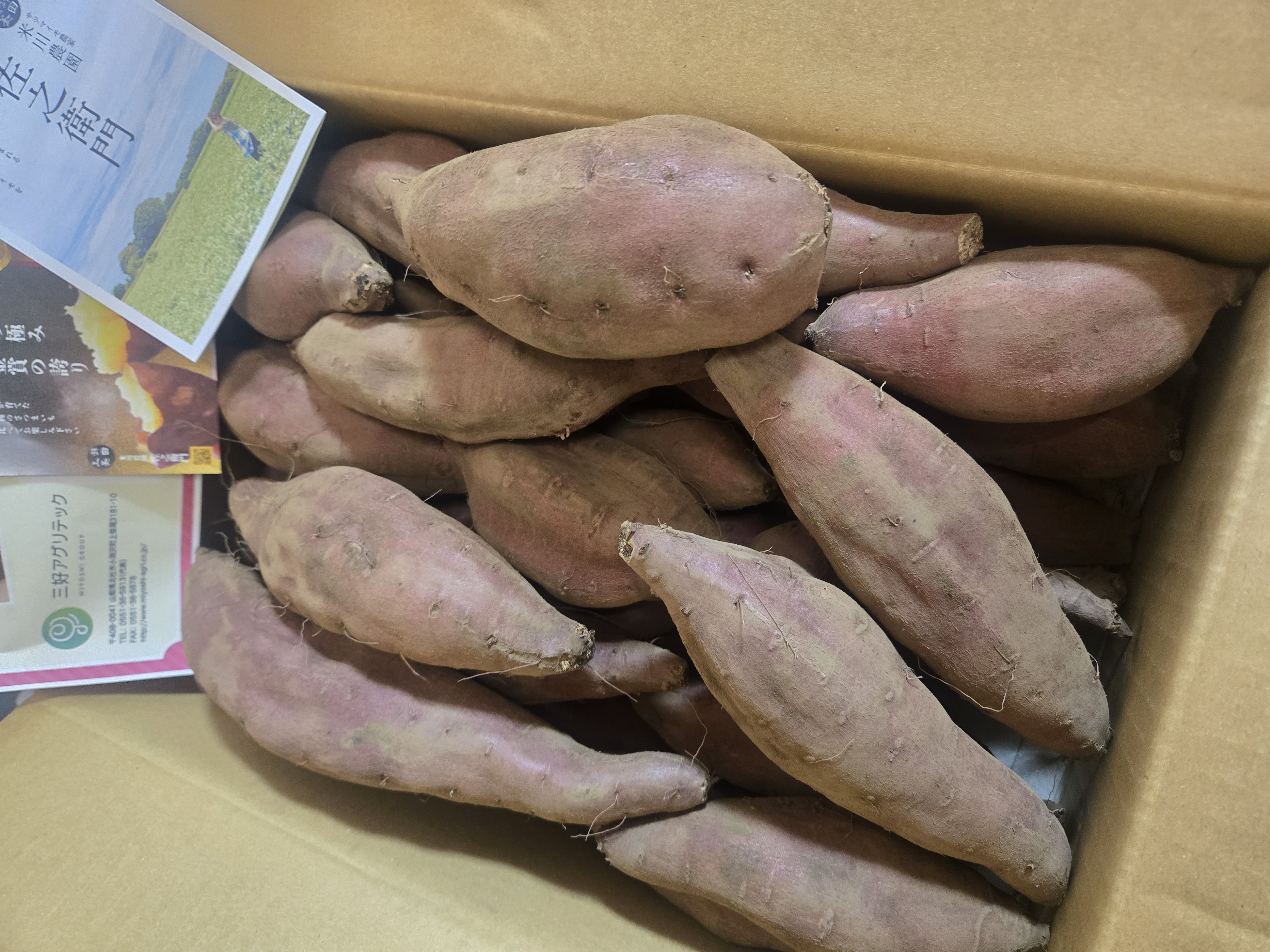 訳あり〉佐之衛門の愛小町10キロ ｜ 野菜/さつまいも 産直アウル 農家