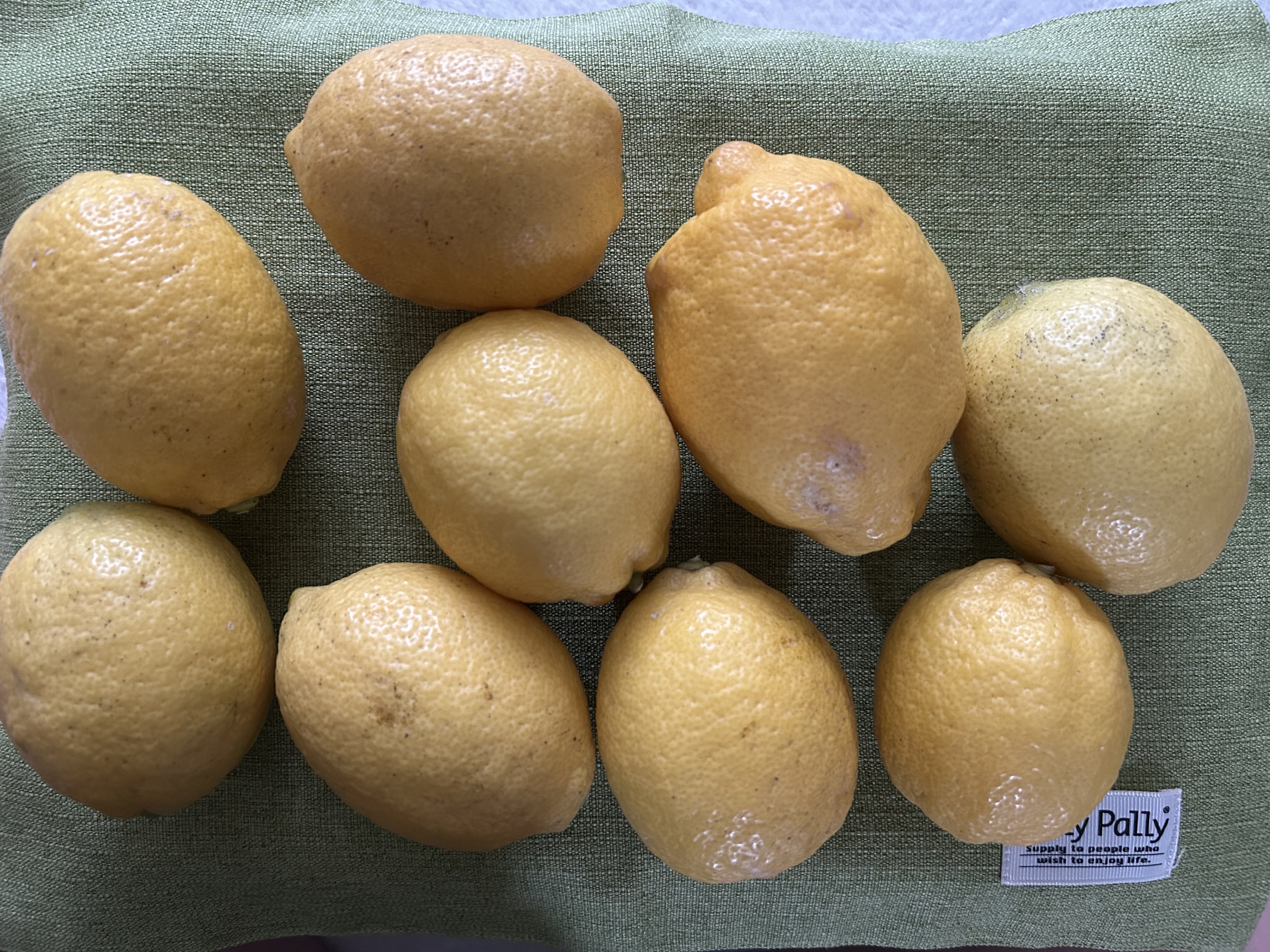 島レモン（1kg）（栽培期間中農薬、化学肥料不使用） ｜ 果物/香酸柑橘