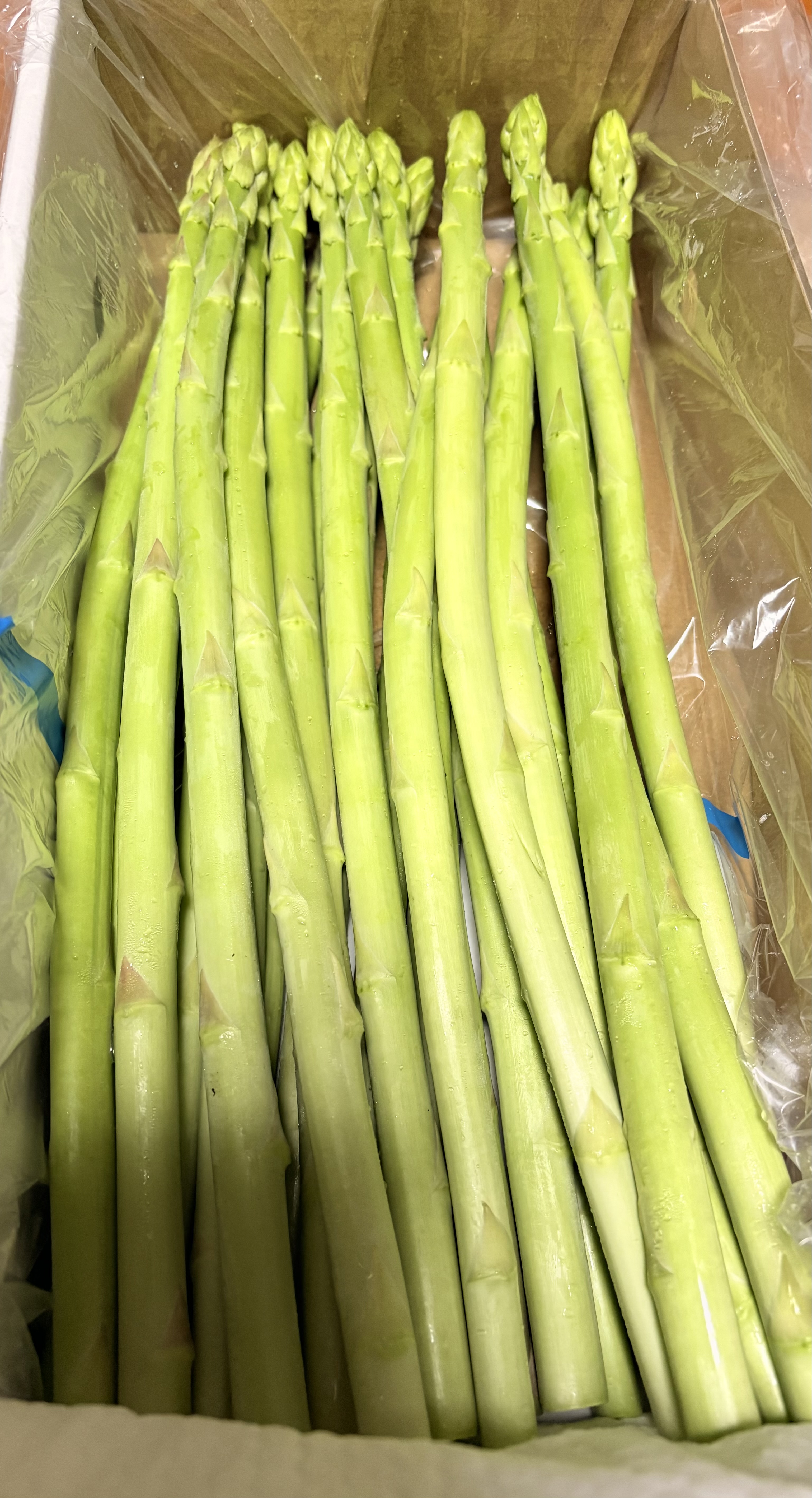 さぬきのめざめ今だけ限定の3Lサイズ ｜ 野菜/アスパラガス 産直
