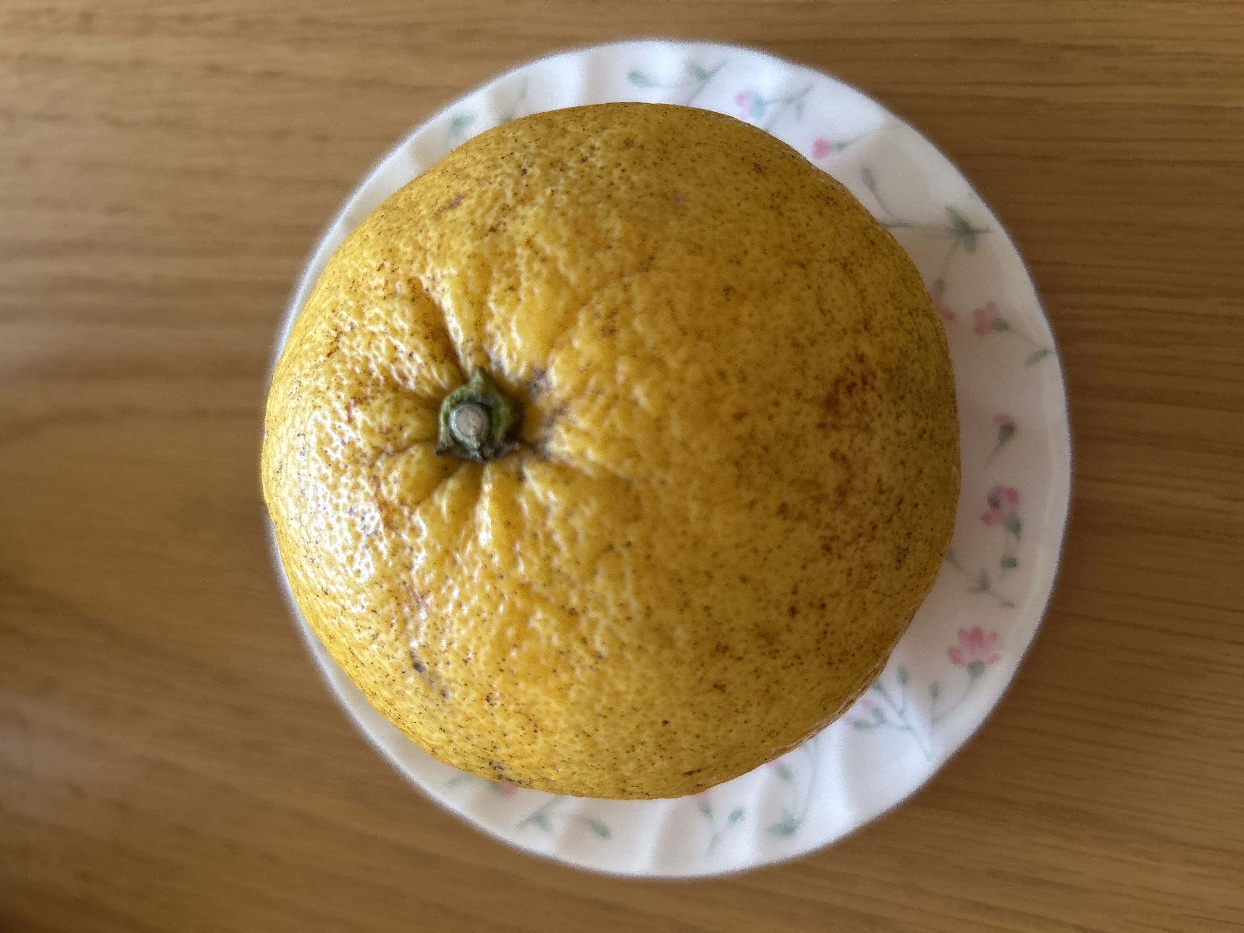 甘夏みかん 秀品Mサイズ 9Kg ｜ 果物/その他果物 産直アウル 農家