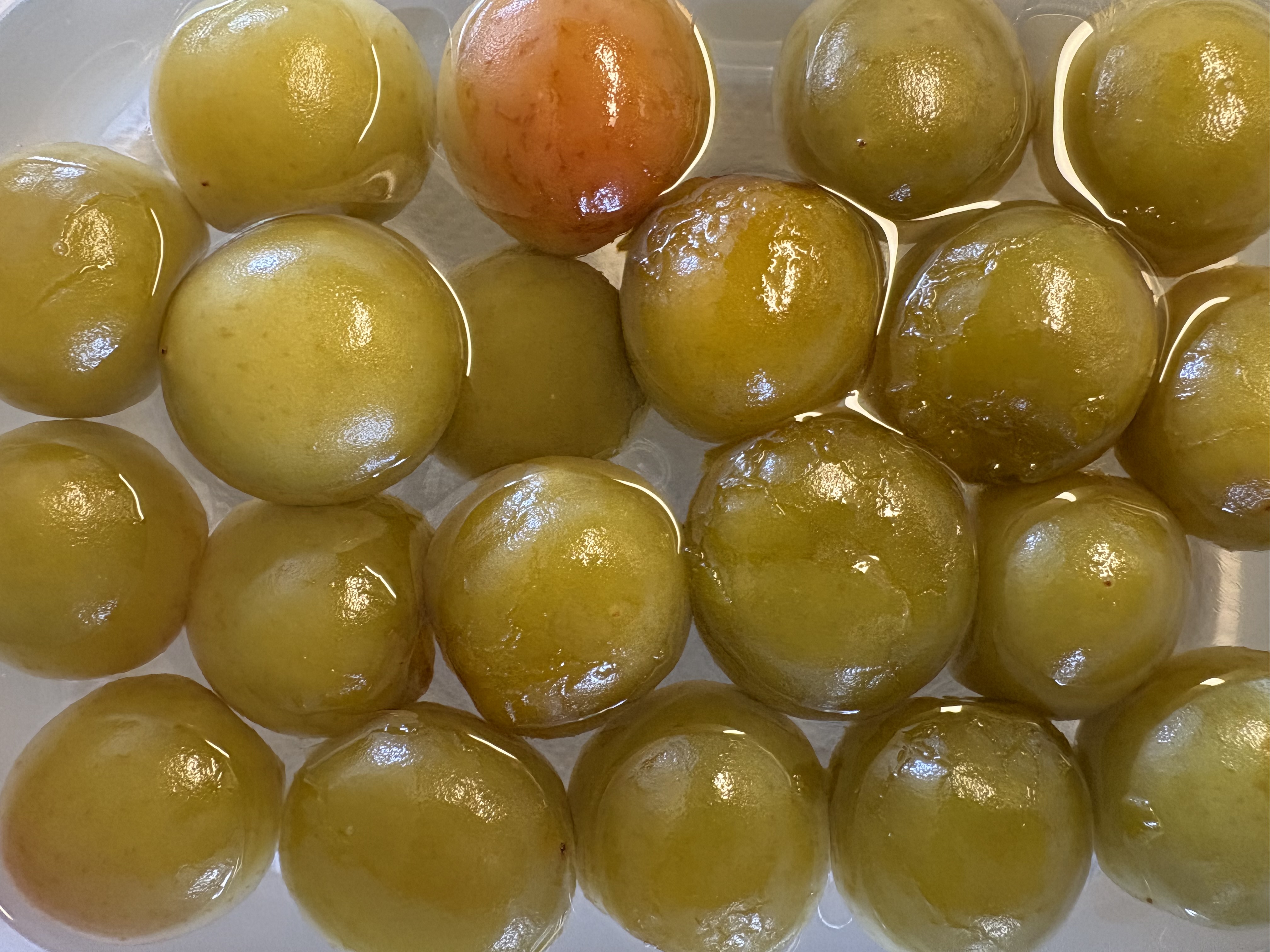 1kg】青梅 南高梅 ｜ 果物/青梅 産直アウル 農家・漁師など生産者から
