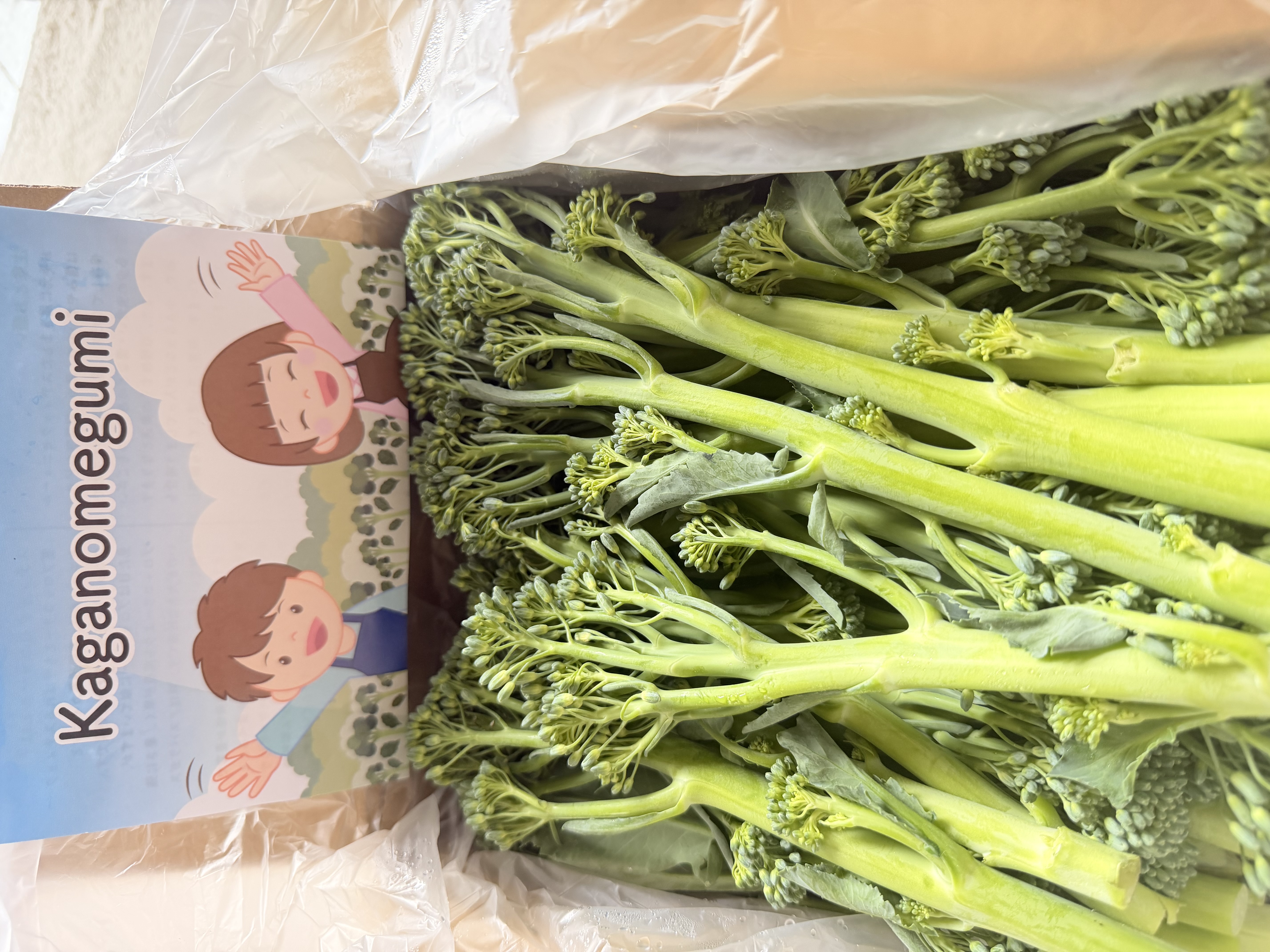 梨!幸水!5kg!訳ありご自宅用梨！ ｜ 果物/梨 産直アウル 農家・漁師