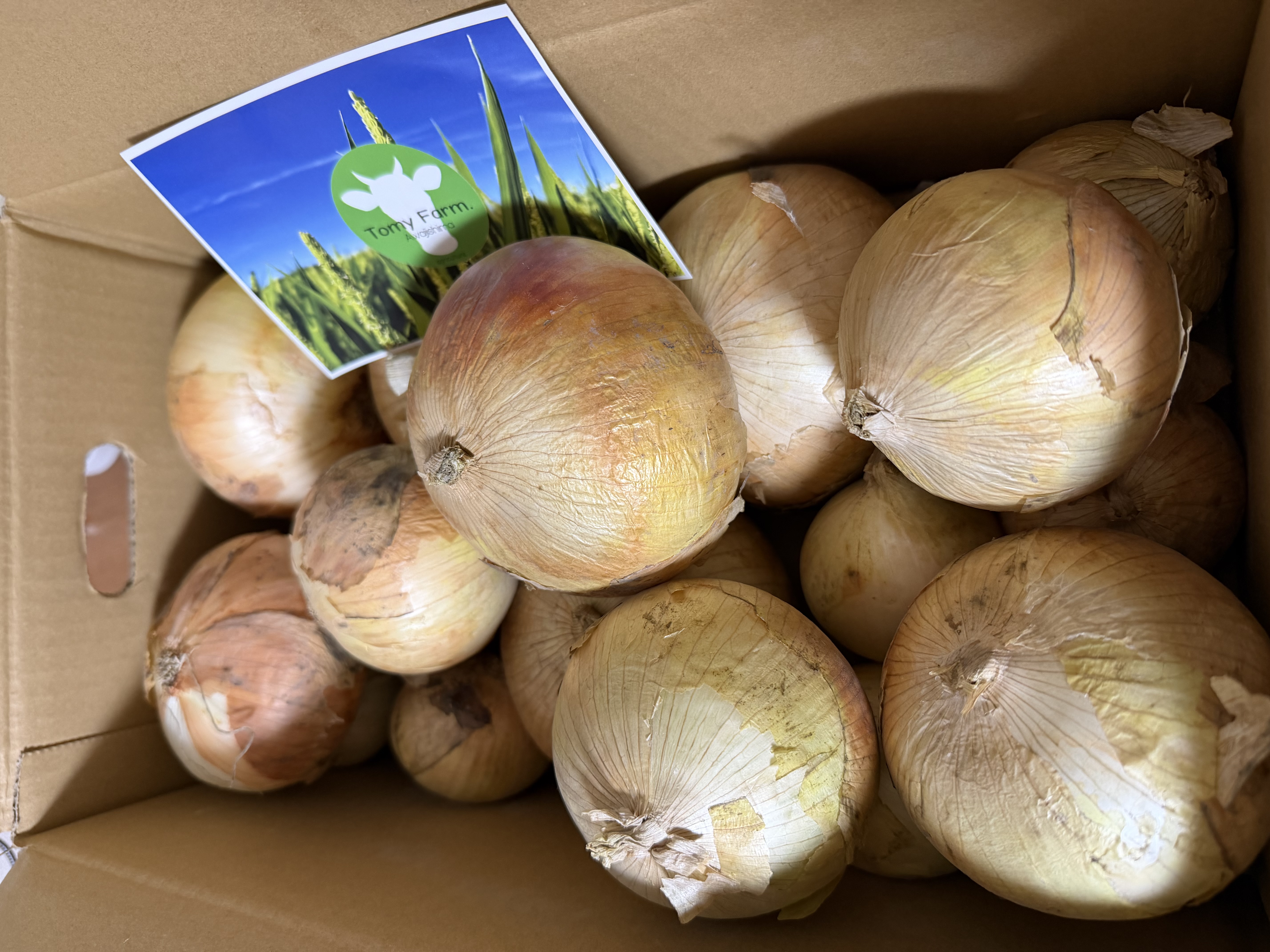 ワケあり‼︎淡路島産 新玉ねぎ 10キロ ｜ 野菜/玉ねぎ 産直アウル 農家 