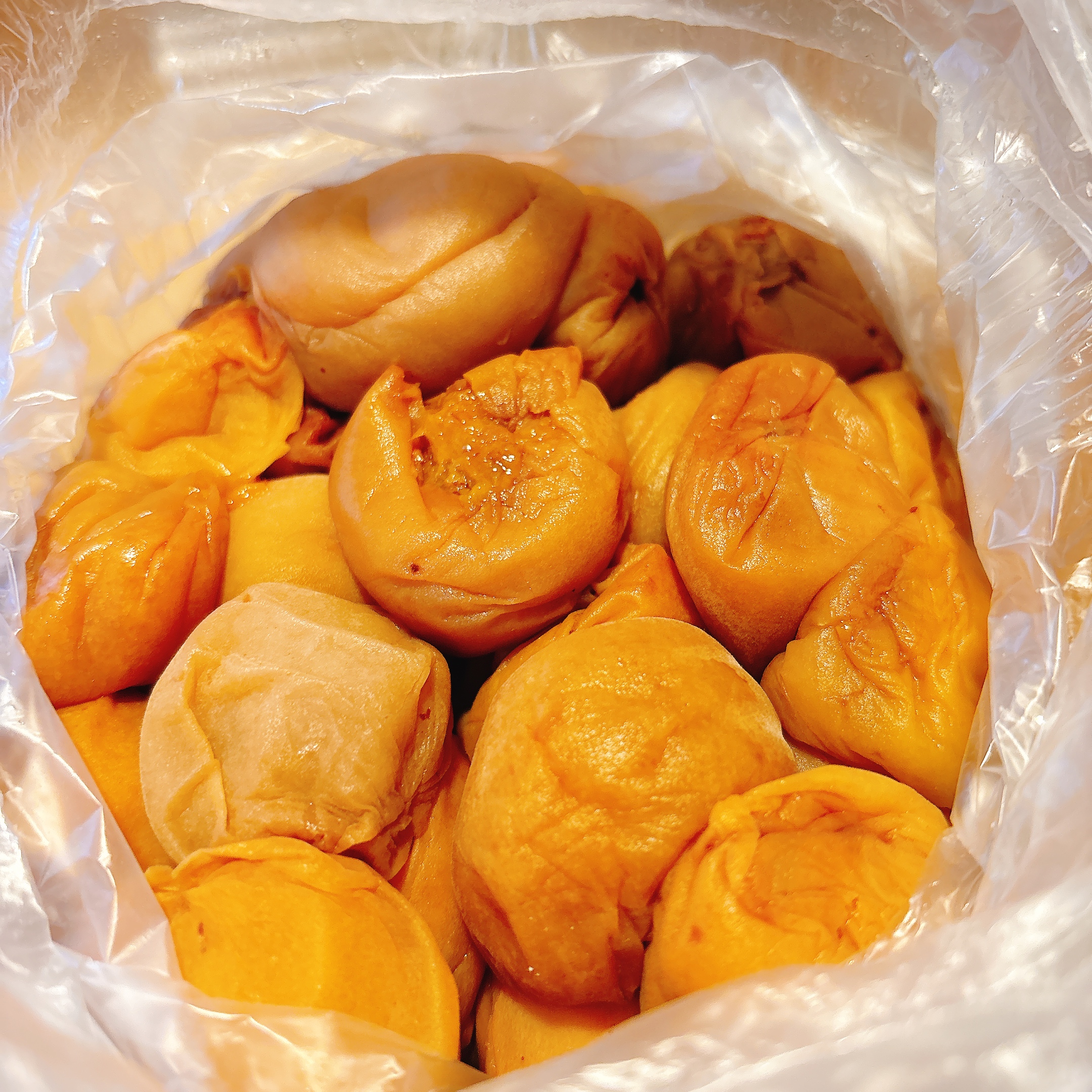 和歌山県産　完熟南高梅‼️L〜２L混合‼️ひろこう♥️５kg×２箱 訳あり完熟南高梅(2L・3Lサイズ混合) 箱込5kg ｜ 果物/青梅 産直アウル