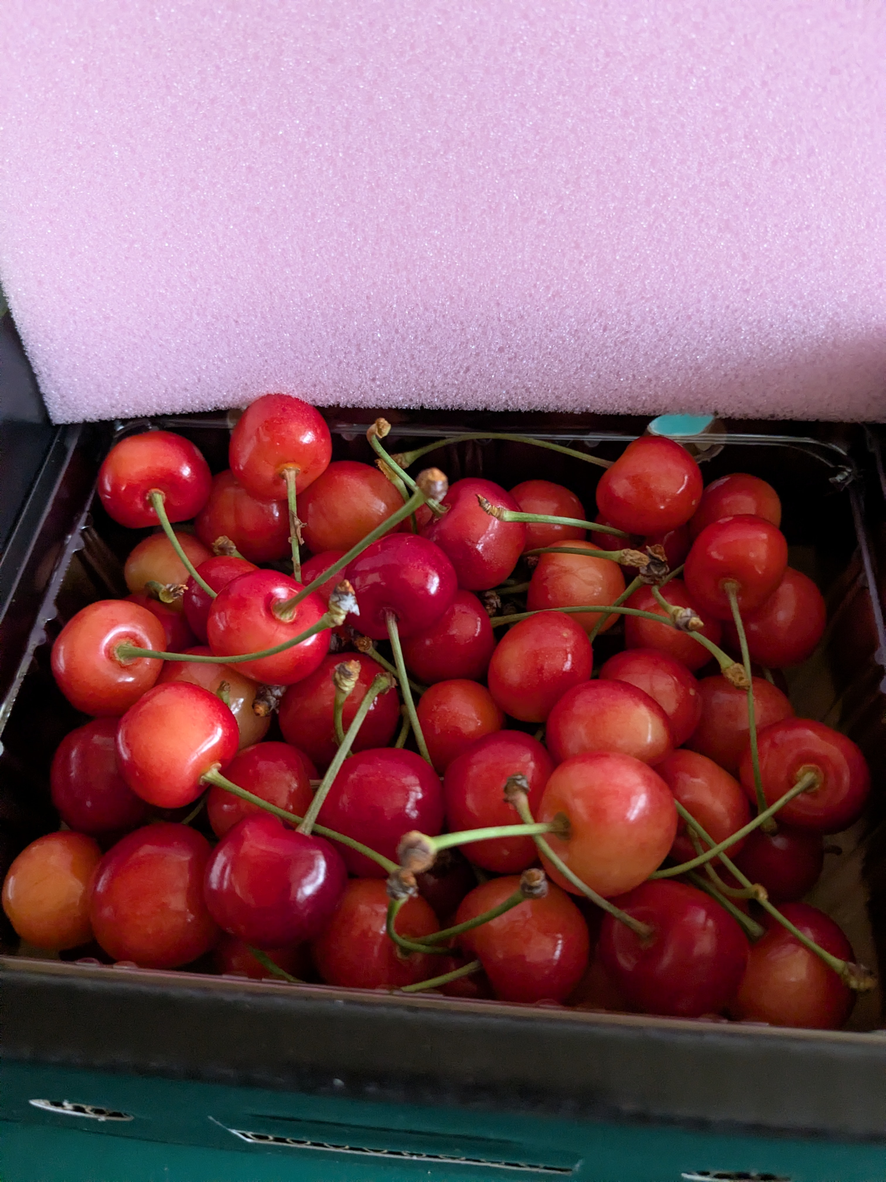 朝採り当日発送 美味しさにこだわる樹上熟成栽培【紅さやか】 ｜ 果物