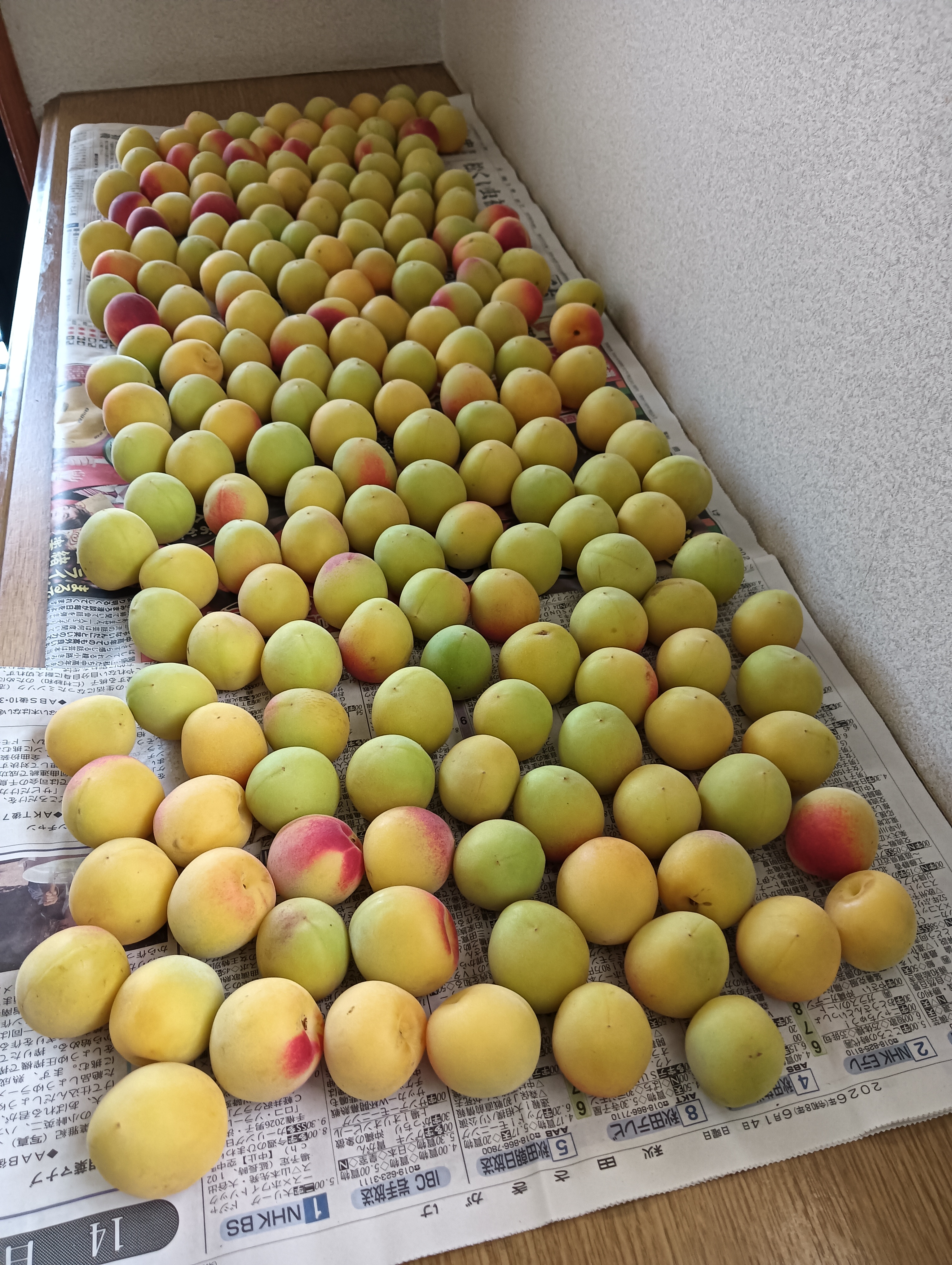 食品 和歌山 古城梅 青梅 10kg 変更20kg
