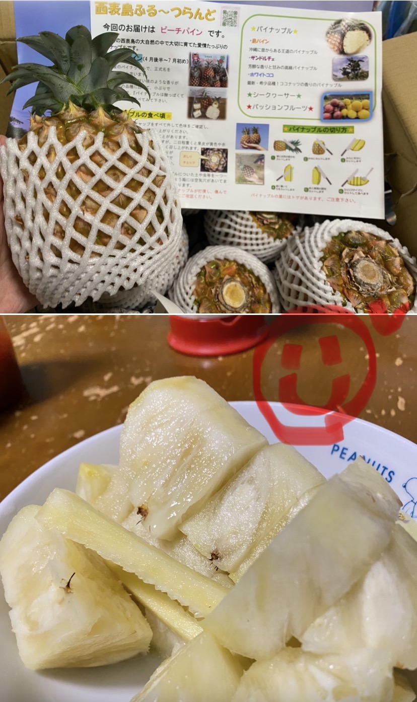 送料無料】西表島産島パイン（ハワイ種）中玉約2.5㎏（3～4玉