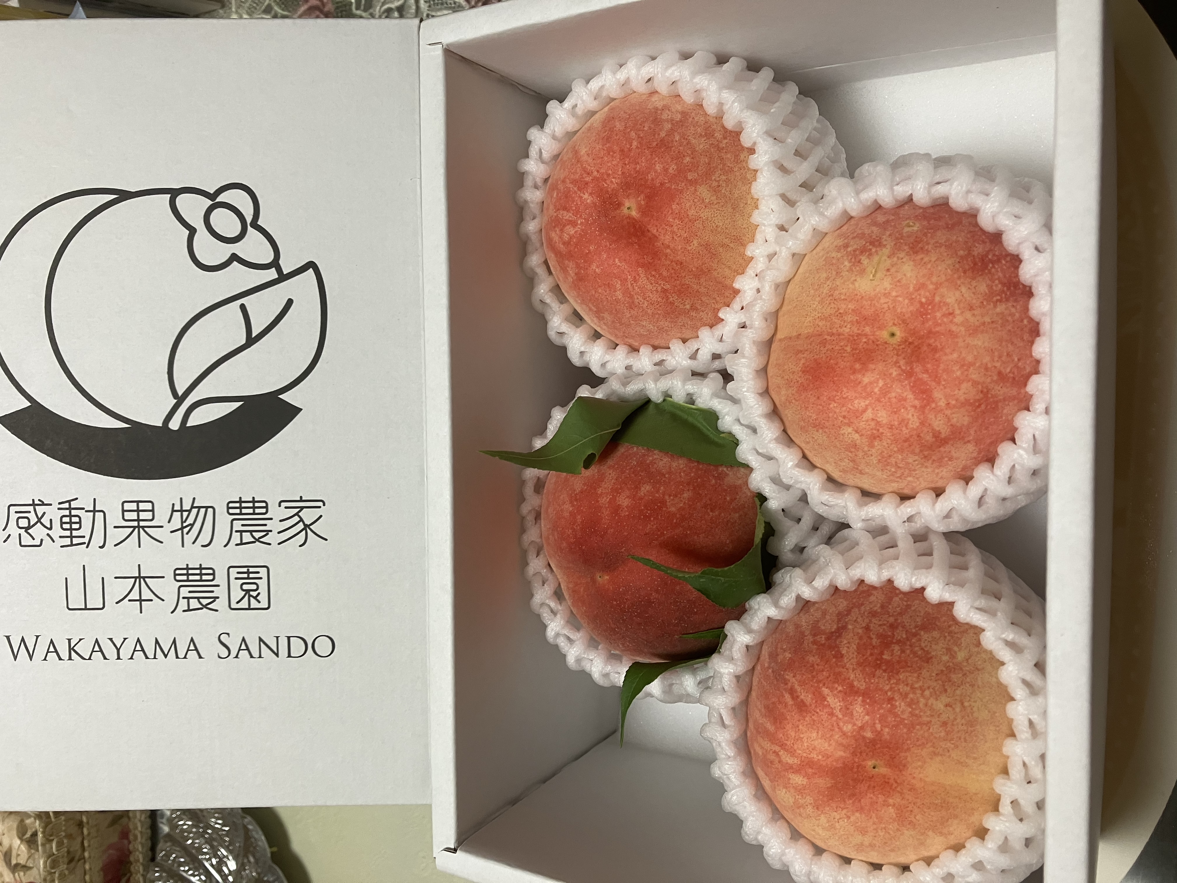 感動果物農家山本農園（和歌山県・和歌山市）｜生産者詳細｜産直アウル