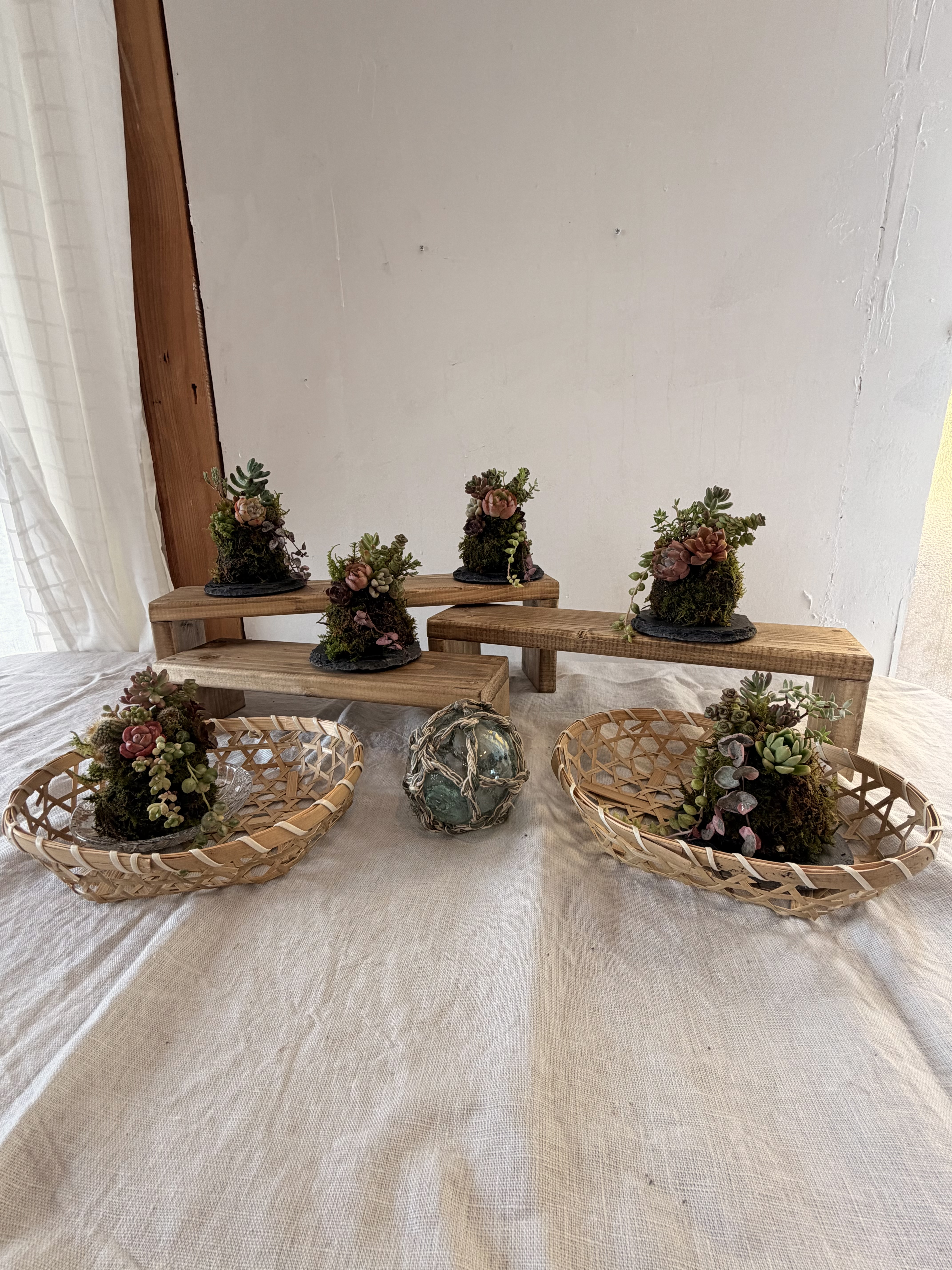 40㌢！大王松 松葉 ｜ 花・植物/花・植物 産直アウル 農家・漁師など
