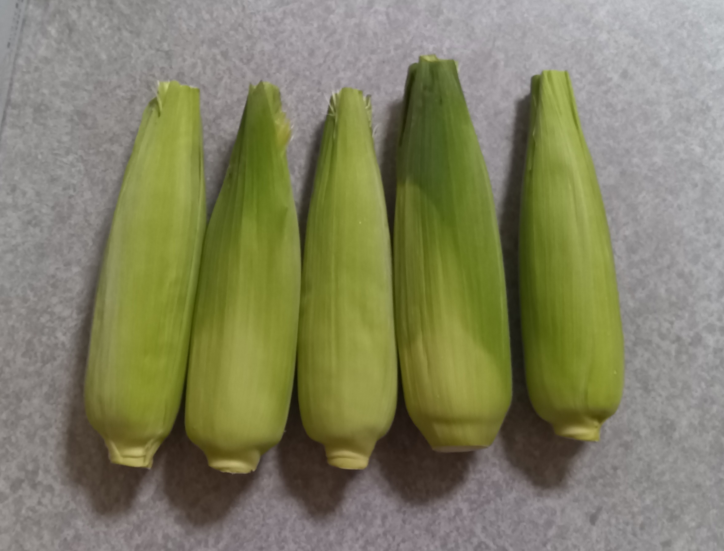 淡路島新玉ねぎ 20kg（早生・七宝） ｜ 野菜/玉ねぎ 産直アウル