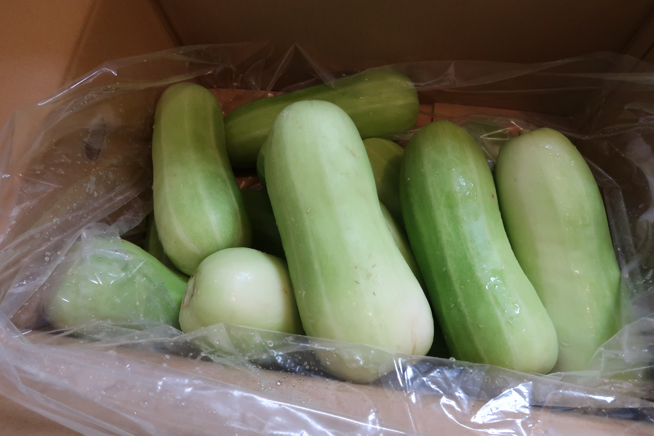 ワカイファーミーのささげ豆 1キロ ｜ 野菜/その他野菜 産直アウル