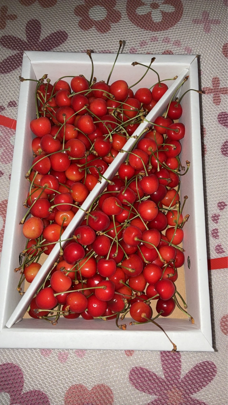 山形県産さくらんぼ やまがた紅王 1kg 贈答用 LLサイズ ｜ 果物