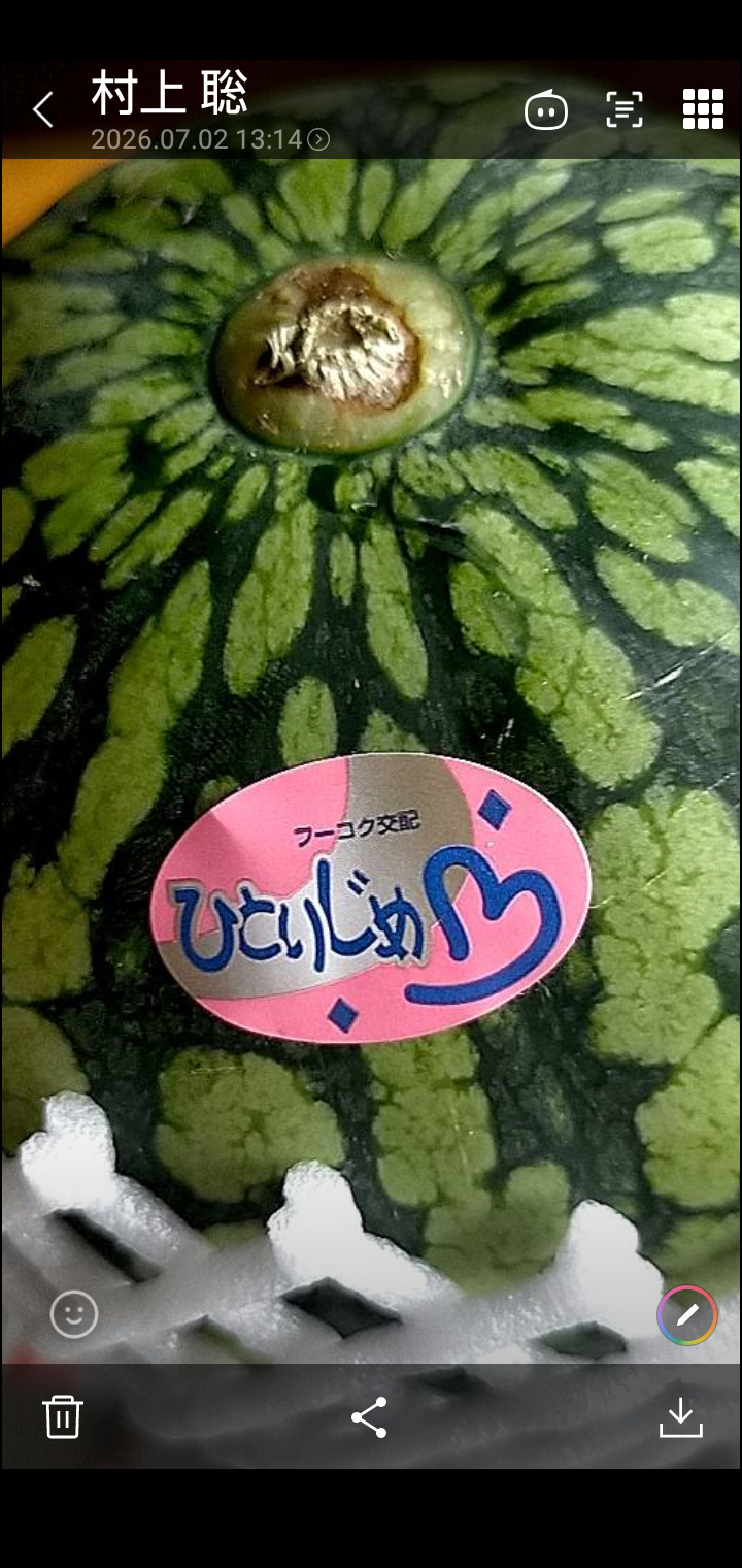 選果落ち 訳あり品】熊本県産 はるか 約5kg 規格外 訳あり品 サイズ