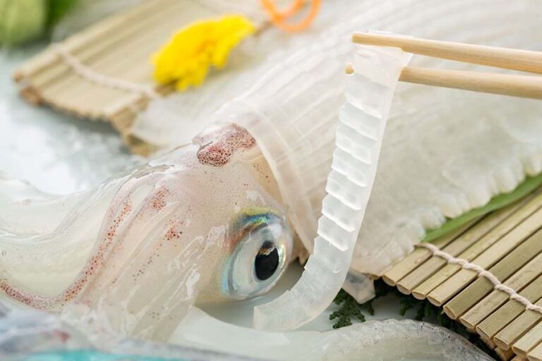 大望閣の呼子の活きイカ