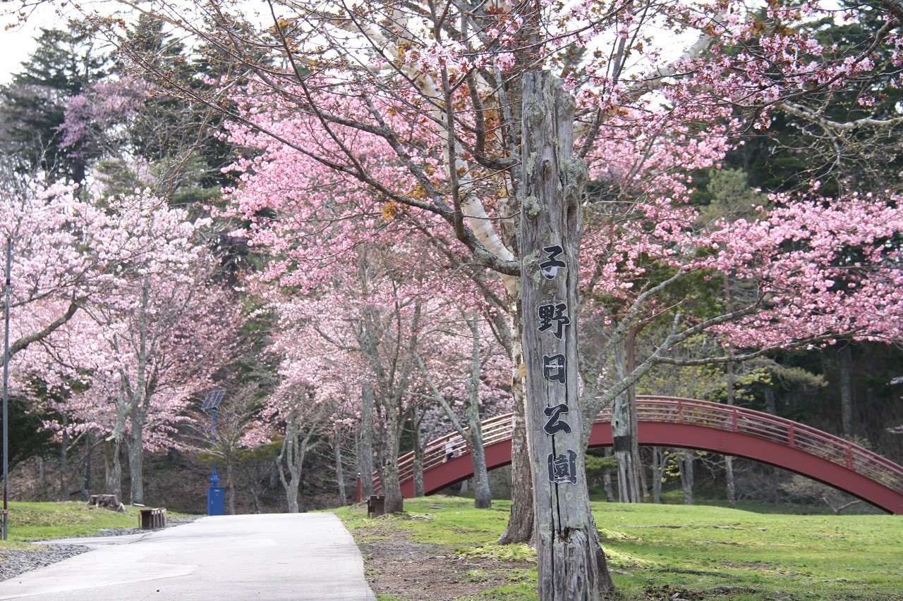 子 野 日 公園
